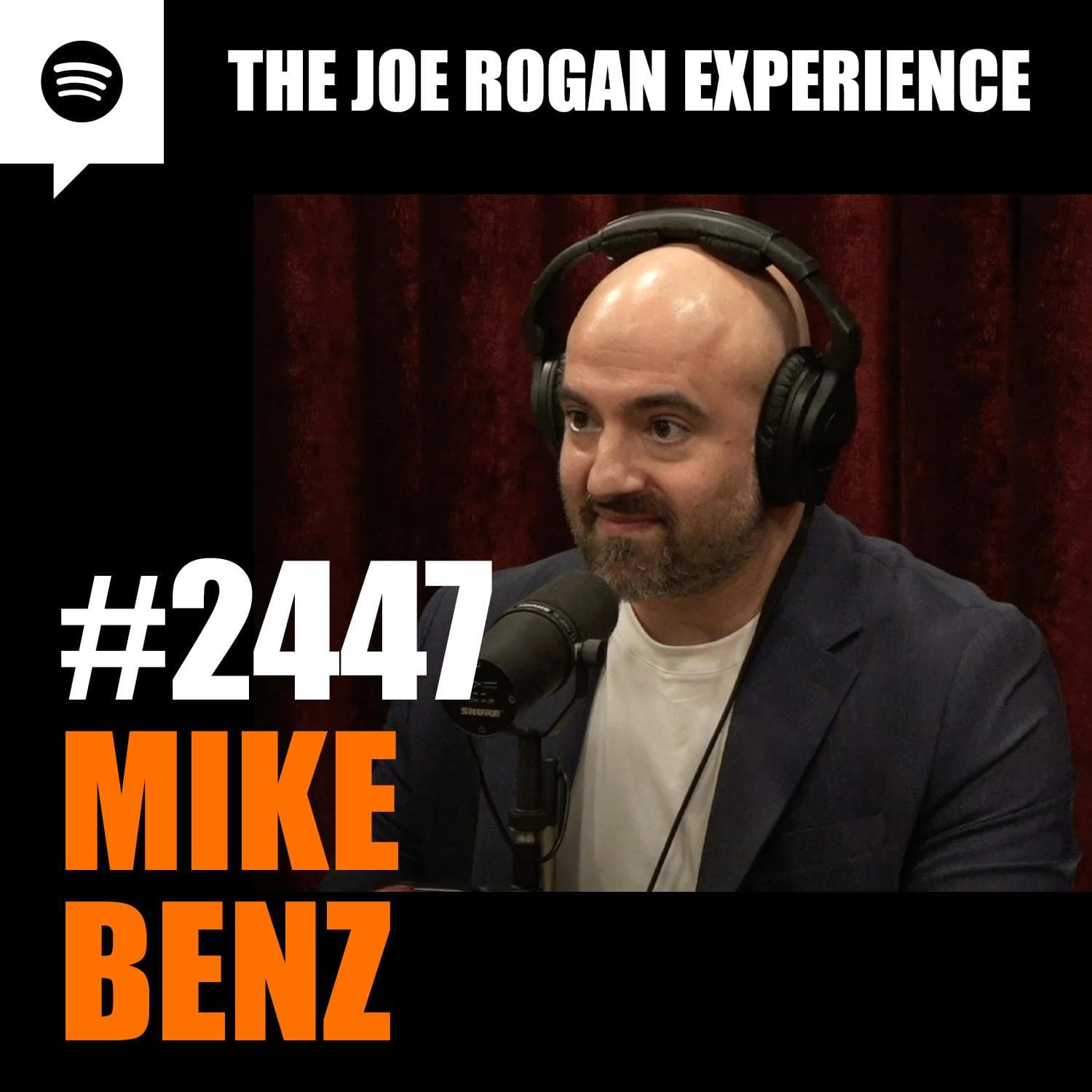 #2447 - Mike Benz artwork