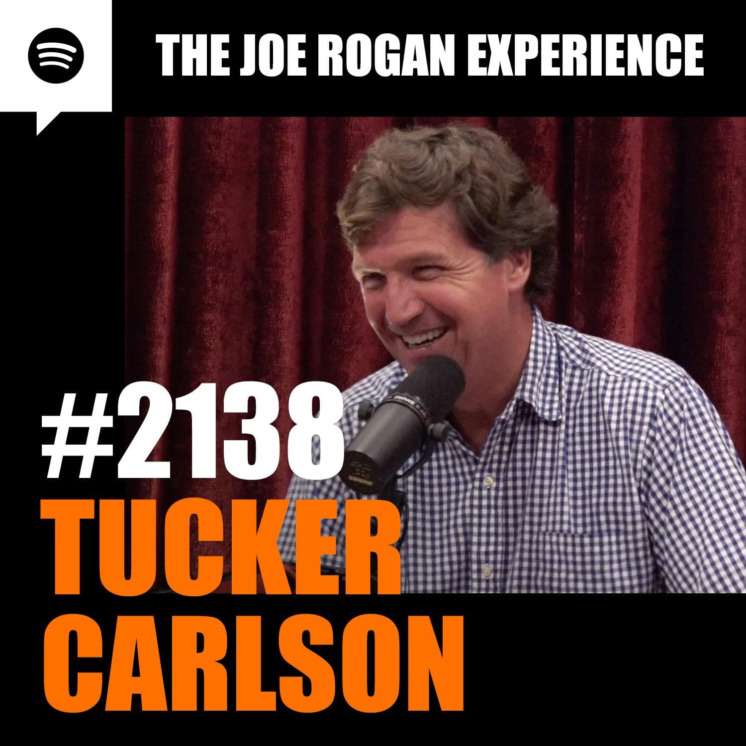 #2138 - Tucker Carlson artwork