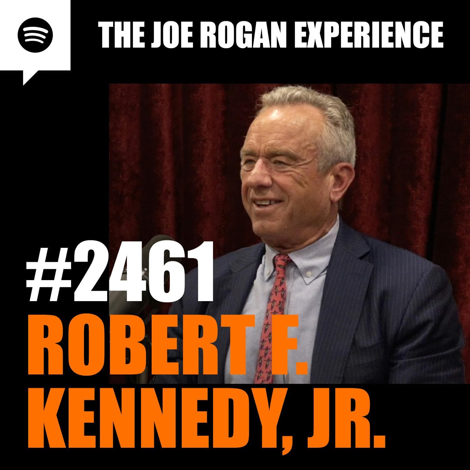 #2461 - Robert F. Kennedy, Jr. artwork