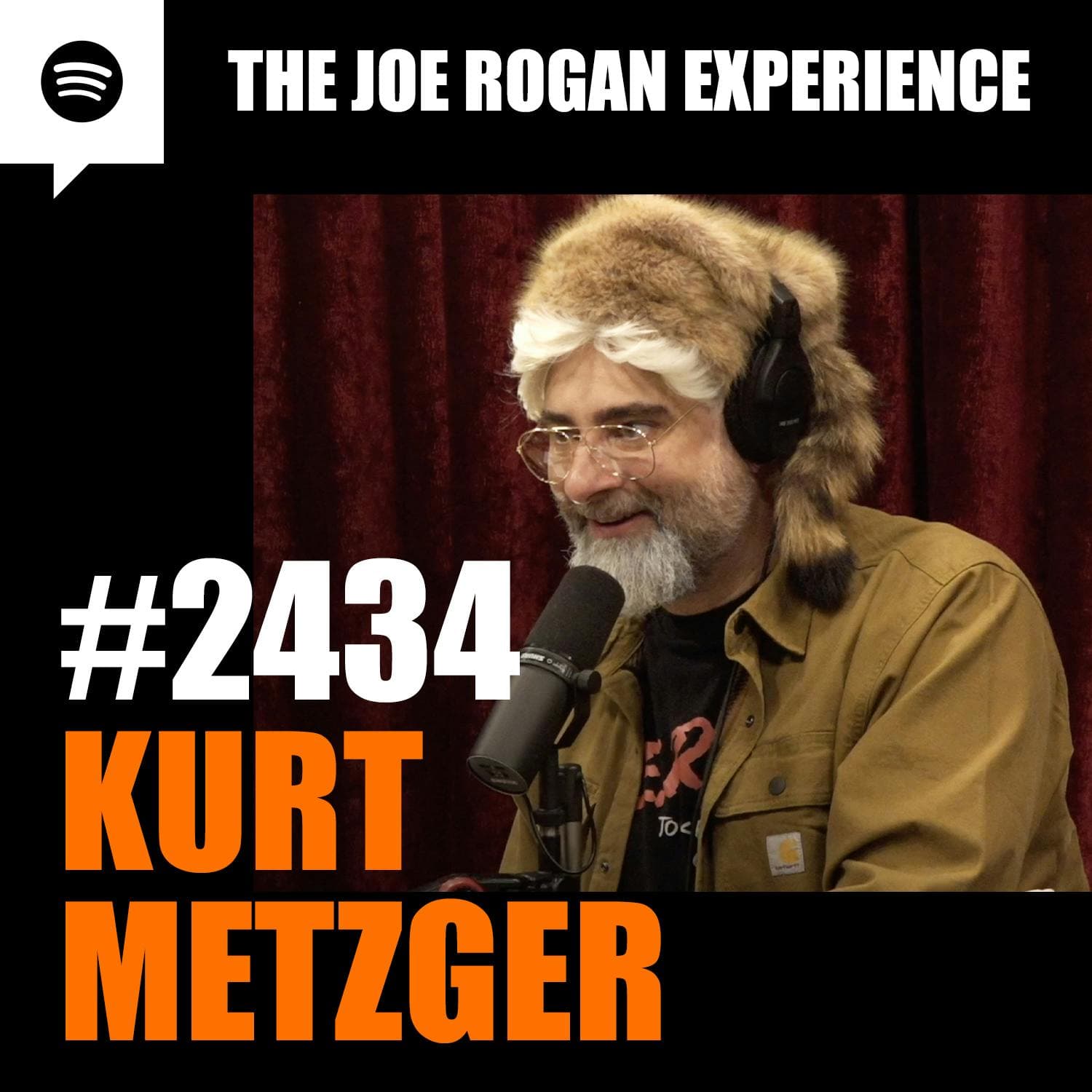 #2434 - Kurt Metzger artwork