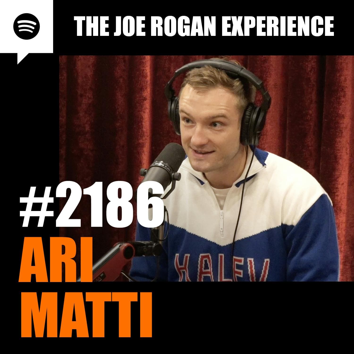 #2186 - Ari Matti artwork
