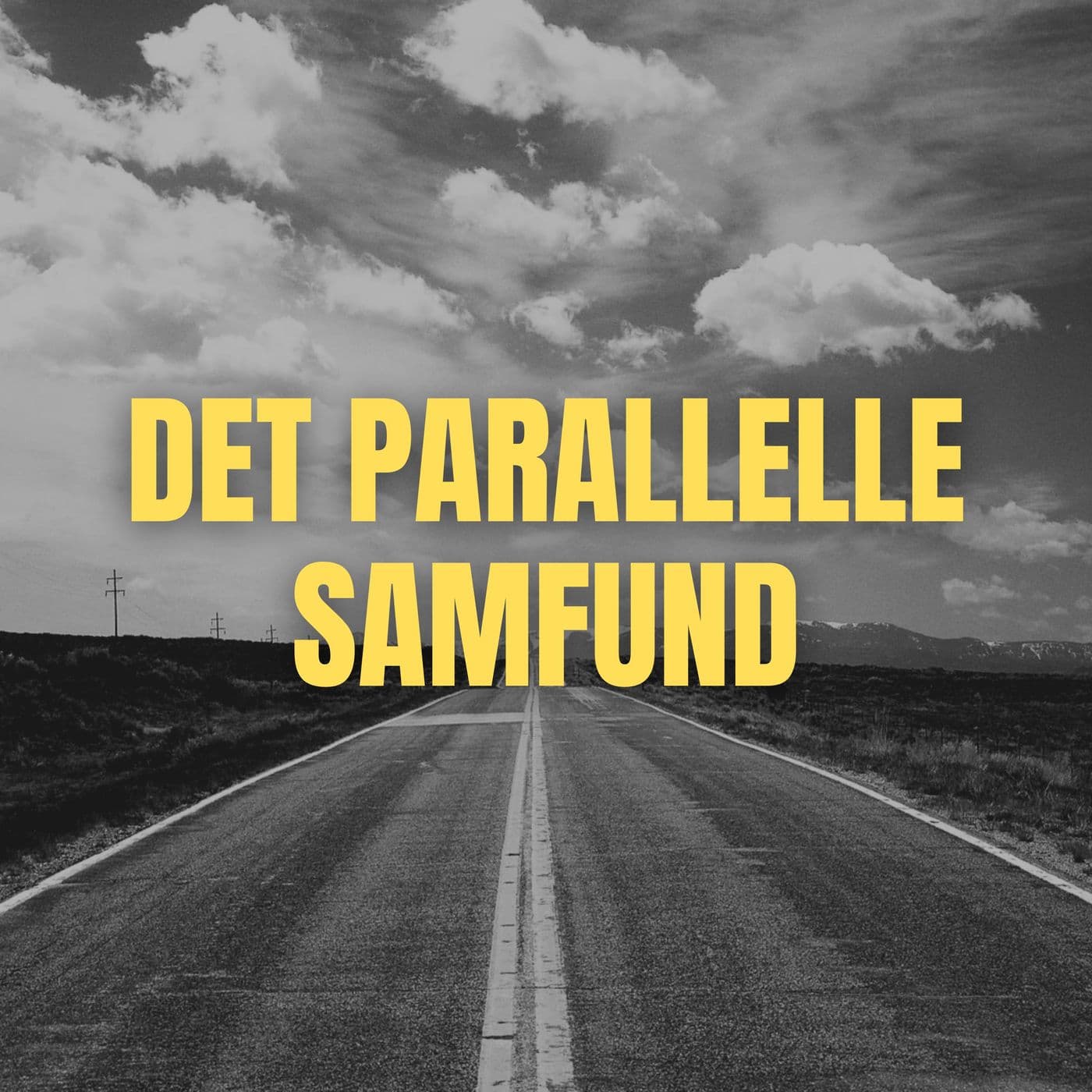 Det Parallelle Samfund (4:6) - Connie fik tvangsfjernet sine børn: "Heroinen gjorde mig følelsesløs!" artwork