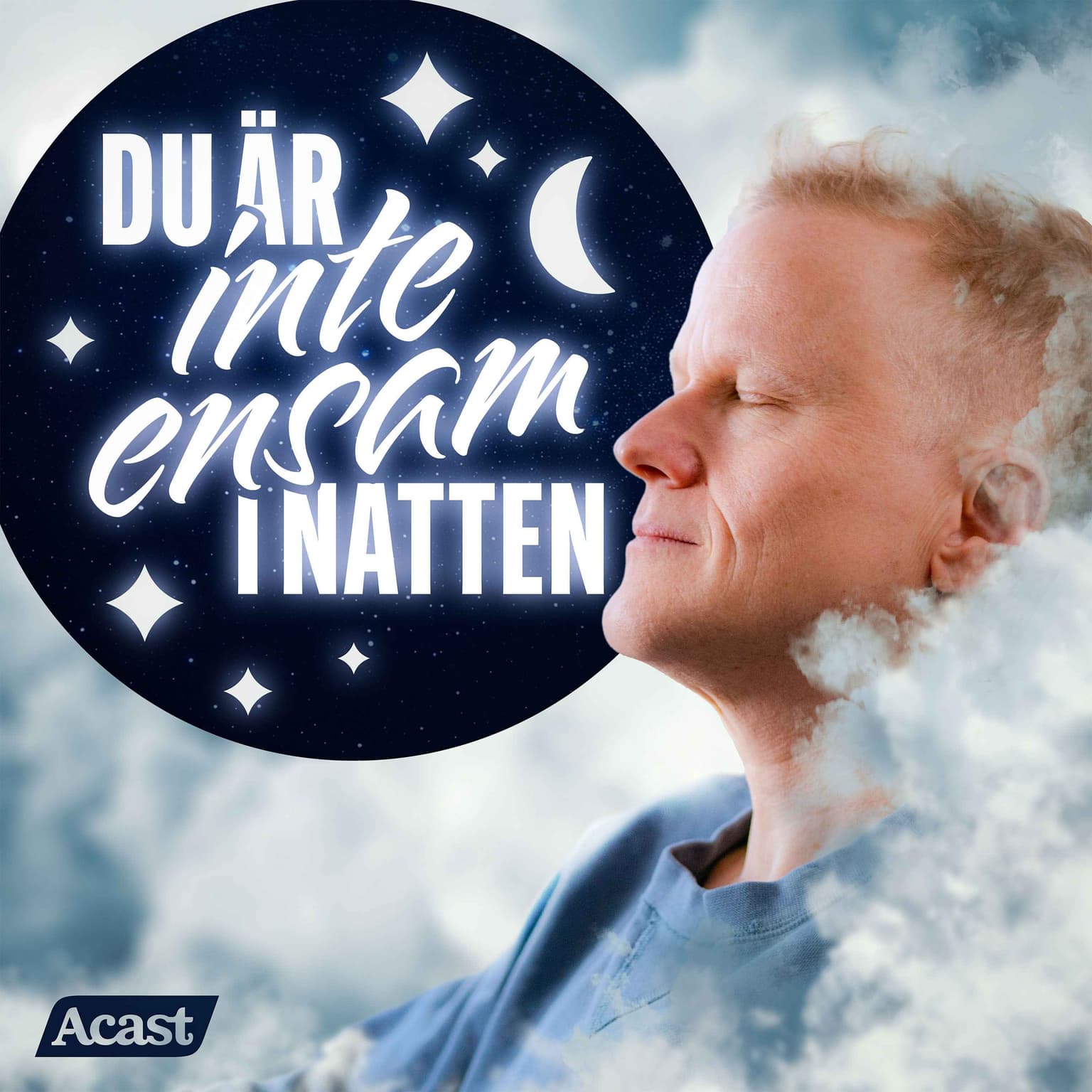 Du är inte ensam i natten - del 5 artwork