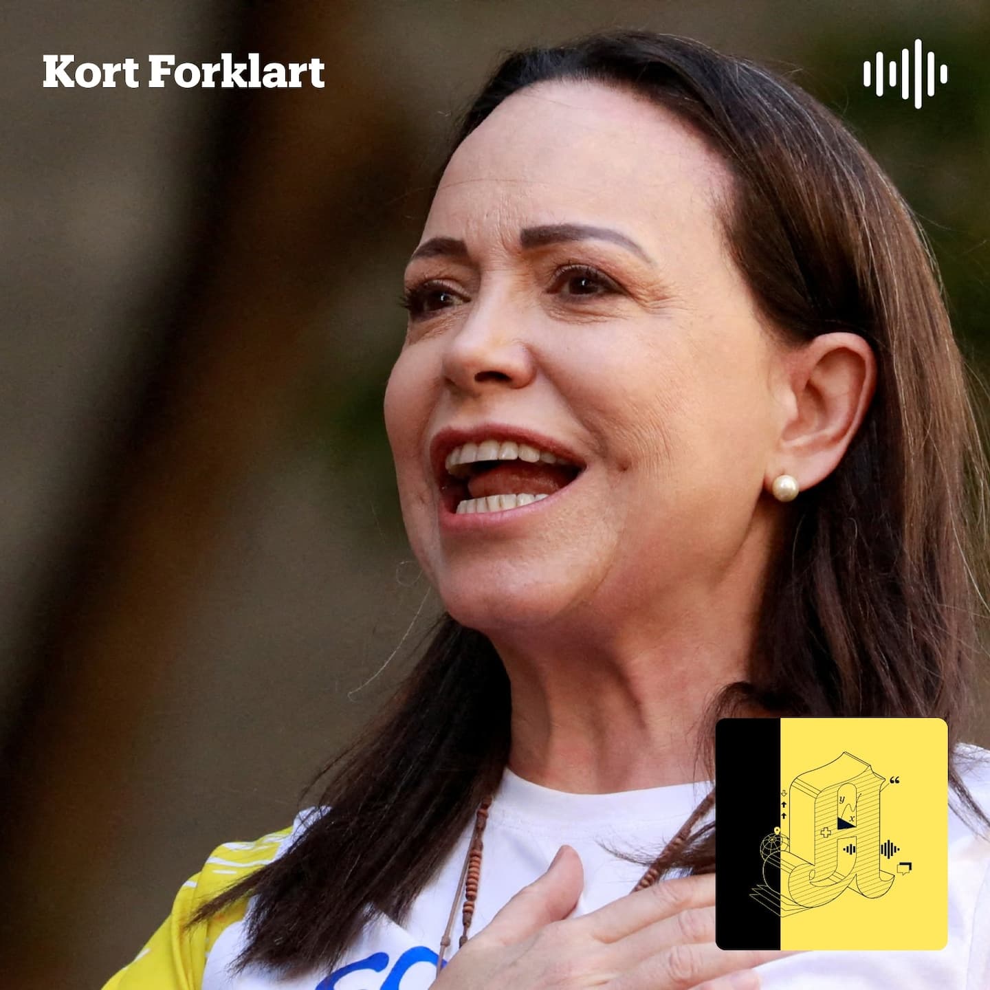 Kort Forklart: Kan Norge få straffetoll av denne fredsprisen? artwork