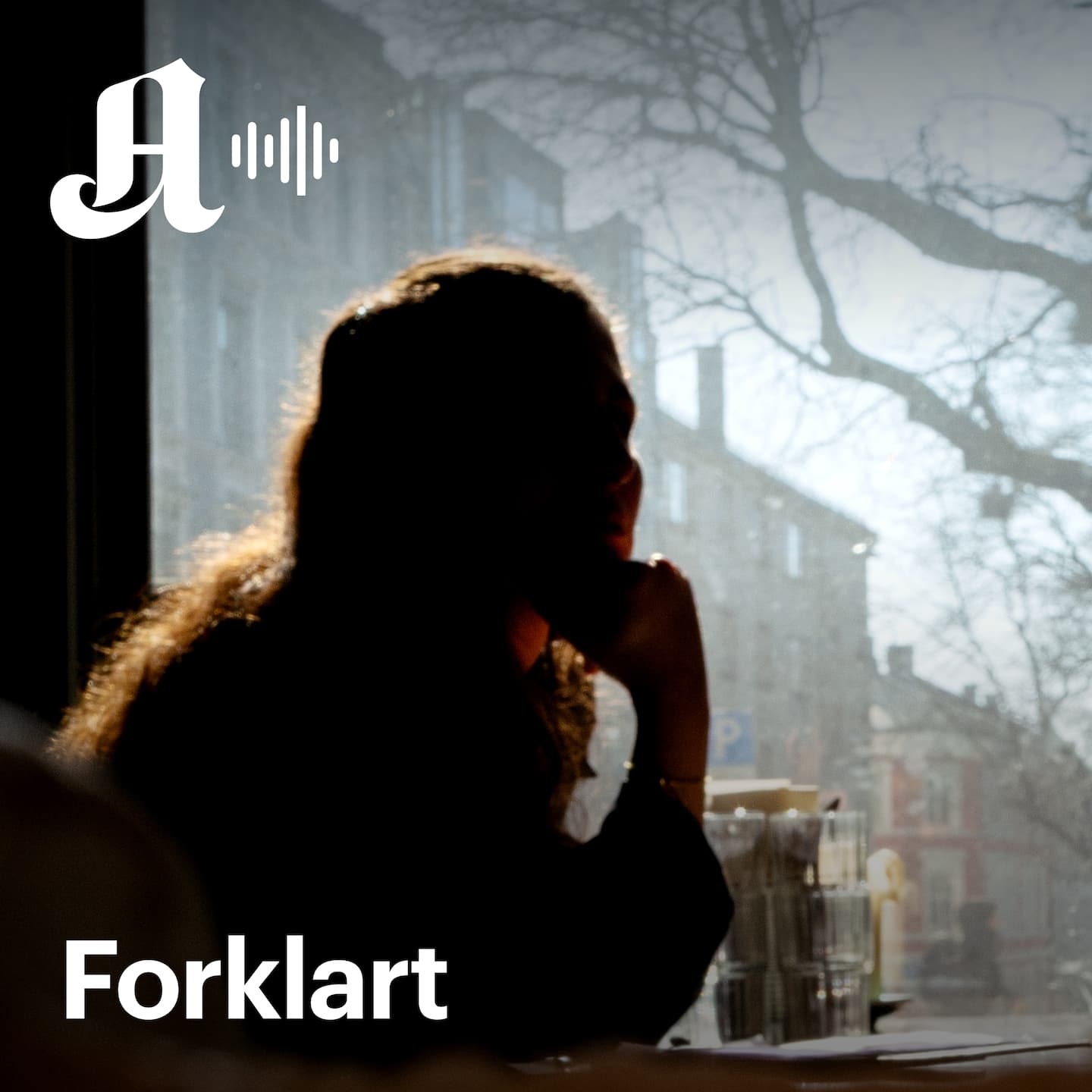 «Maria» har god jobb, men ble bostedsløs. – Det er så uverdig. artwork