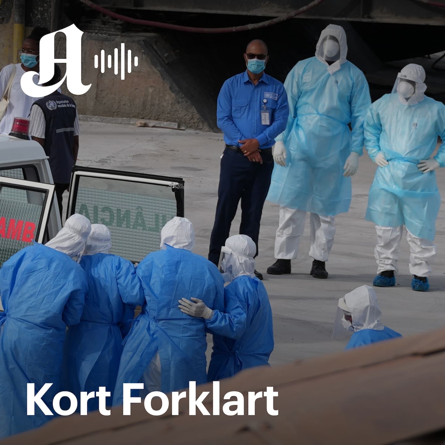Kort Forklart: Kan hantaviruset føre til en ny pandemi? Dette kan roe deg ned artwork