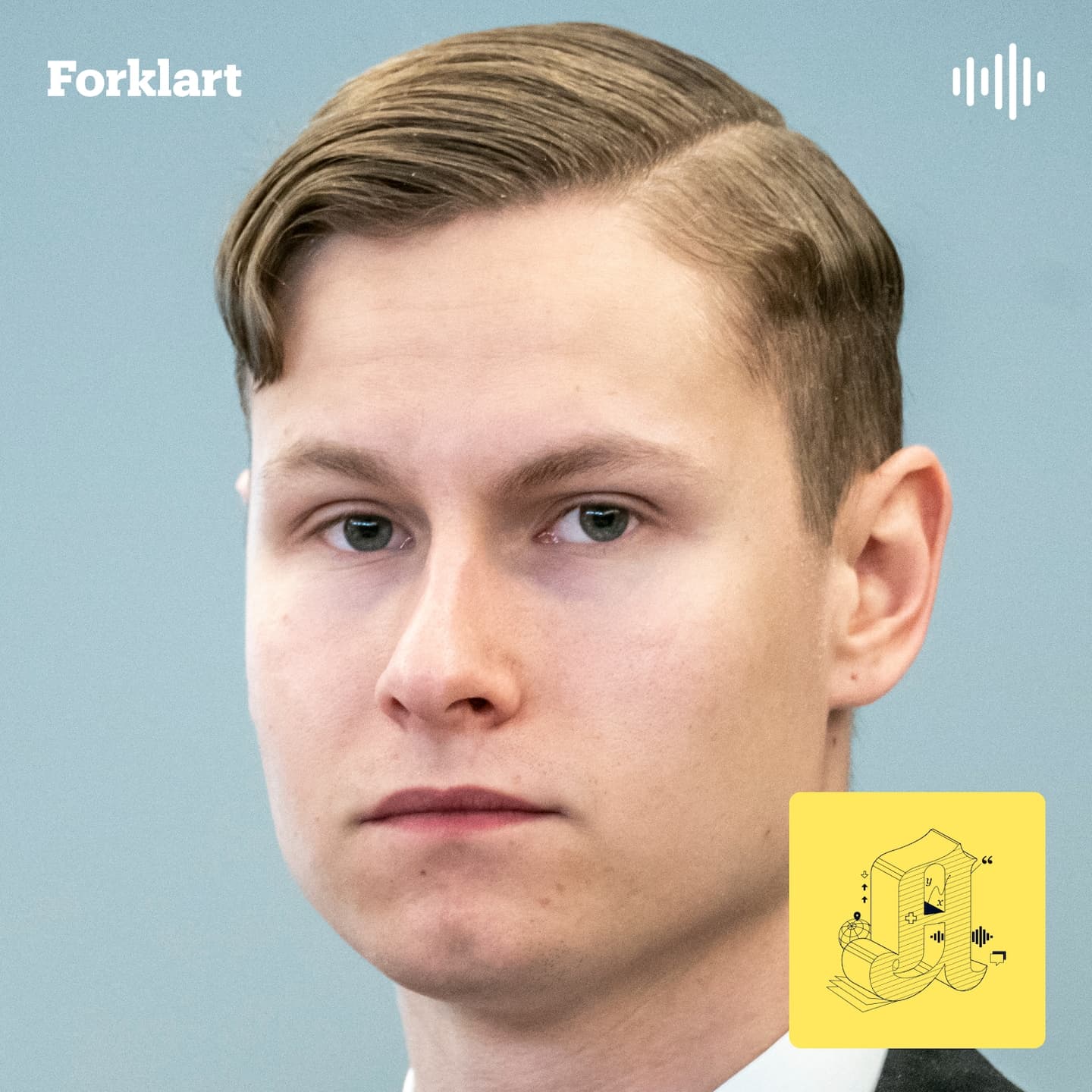 Philip Manshaus: Skal han slippe fengsel? artwork