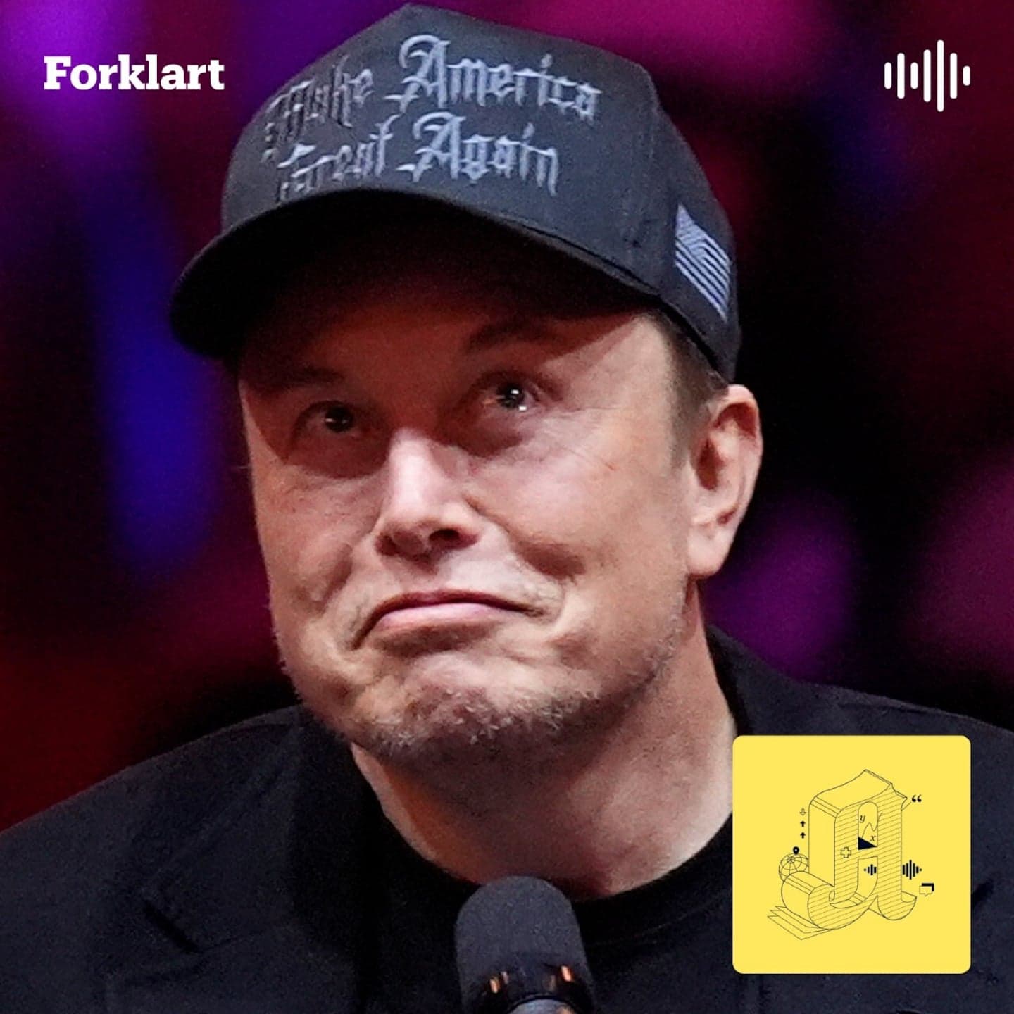 Kan Musk tøyle Trump? artwork