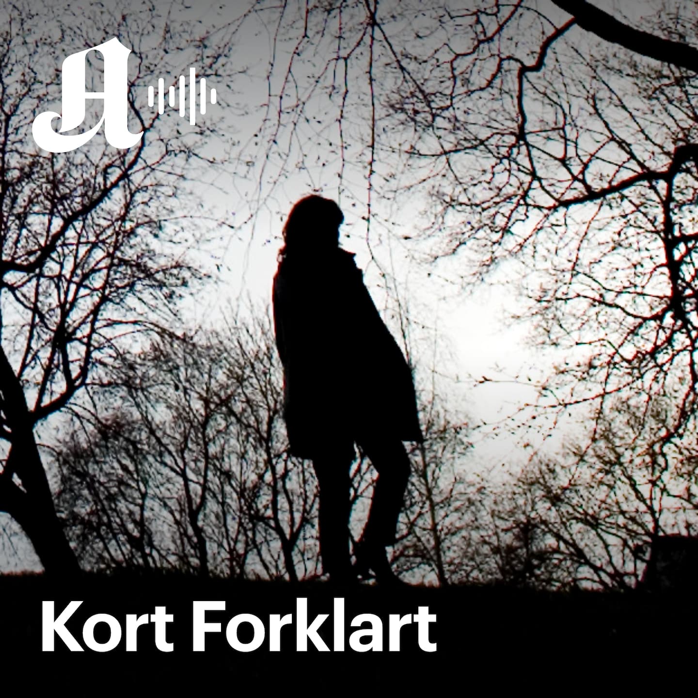 Kort Forklart: Noe har skjedd med helsen vår siden pandemien artwork