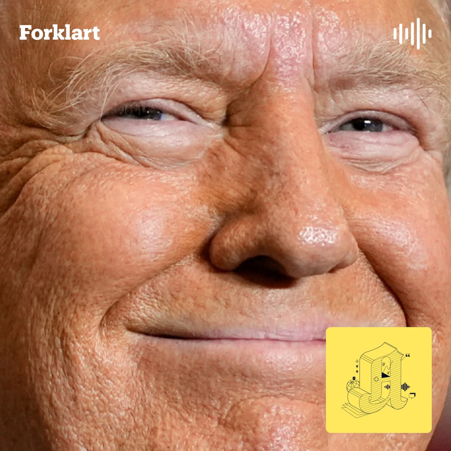 Hans Majestet Kong Trump? artwork
