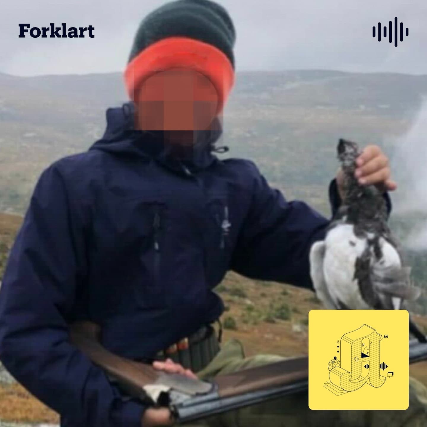 Den terrorsiktede 18-åringen: «fuck hele regjeringa i Norge i dag» artwork