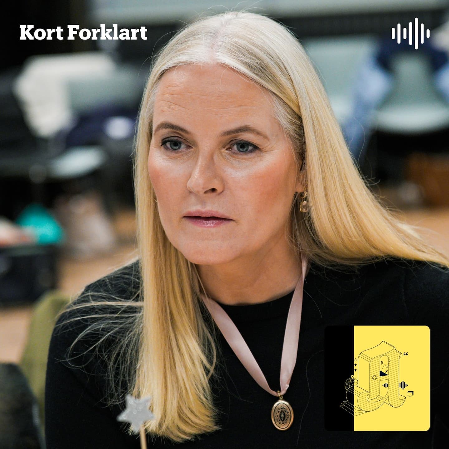 Kort Forklart: Kronprinsesse Mette-Marit nevnt flere hundre ganger i nytt Epstein-materiale artwork