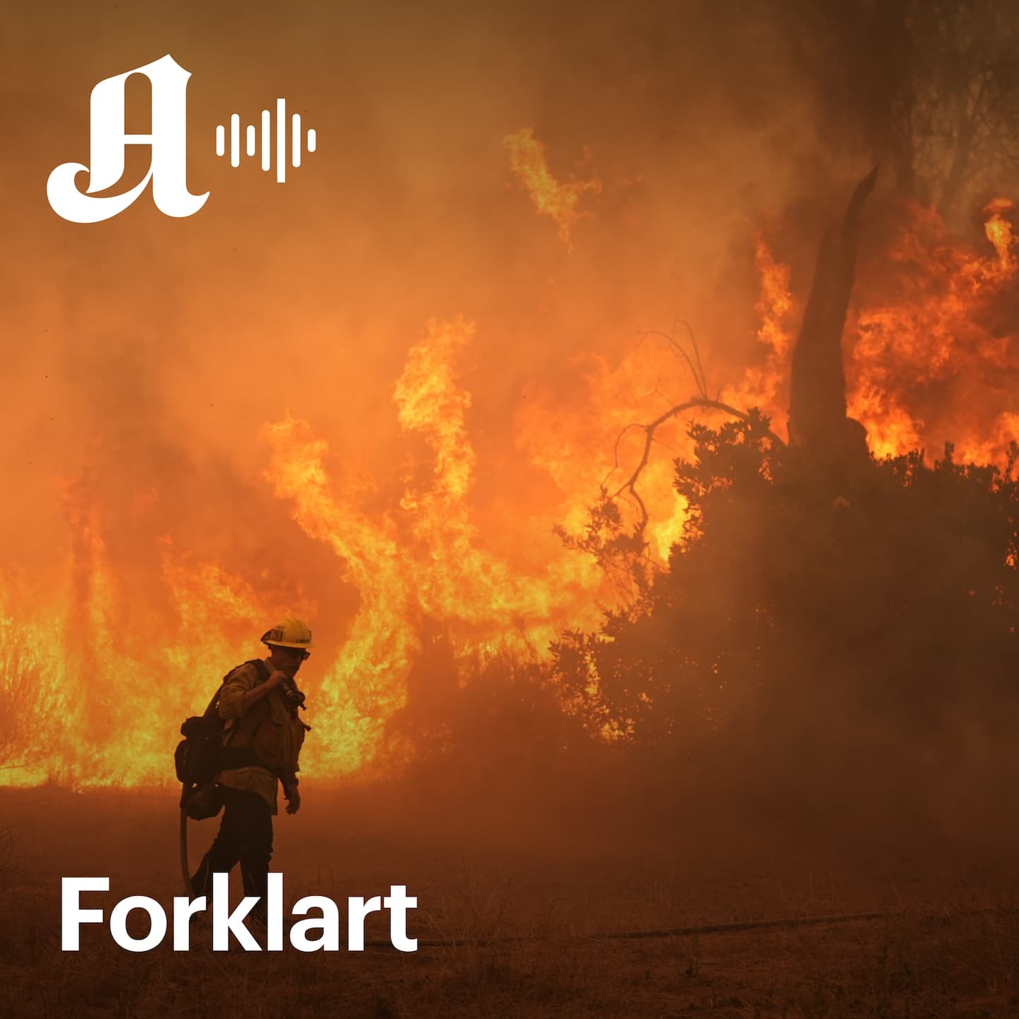 Frykten for «Super-El Niño» øker: Sånn kan det påvirke deg. artwork