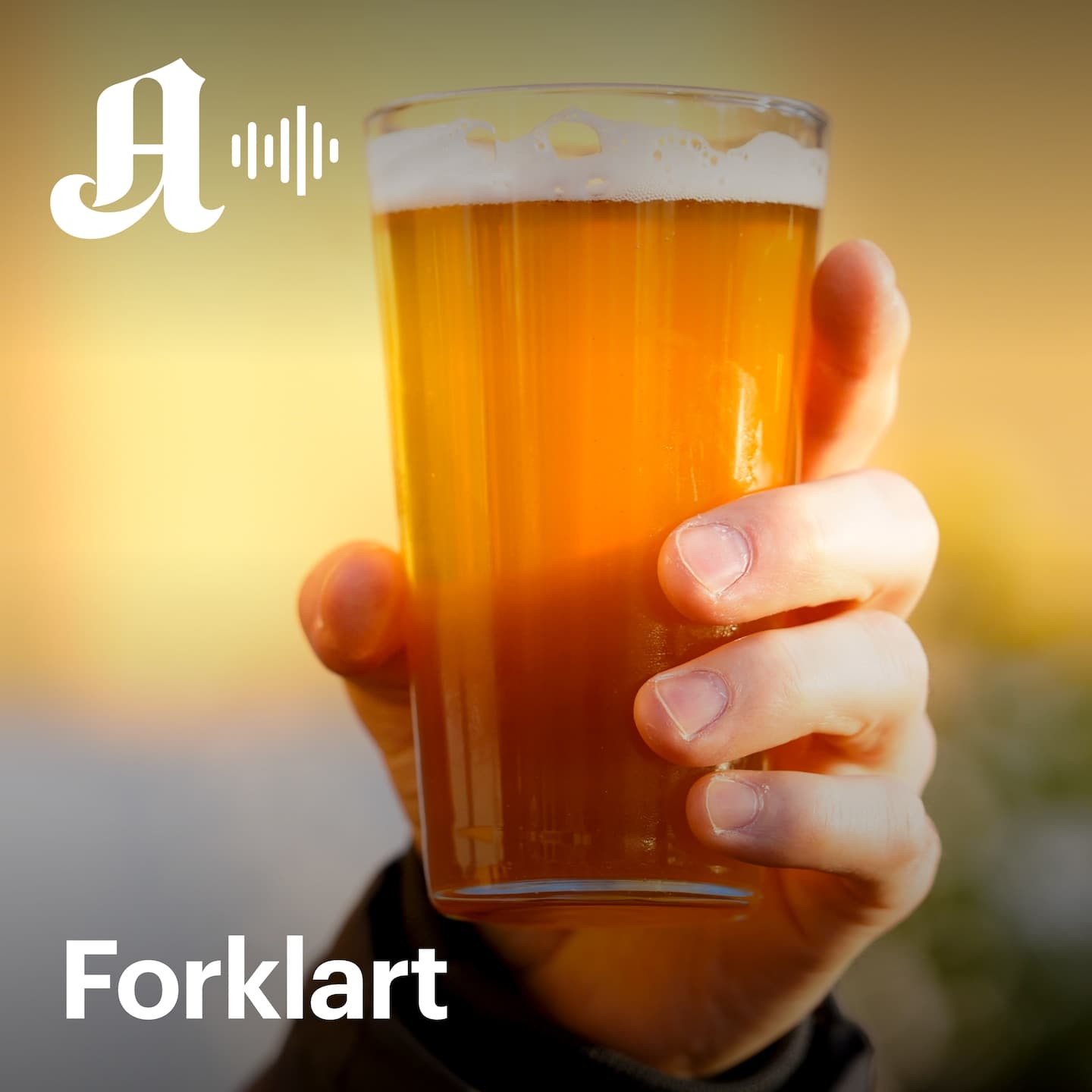 Har Stortinget et alkoholproblem? artwork