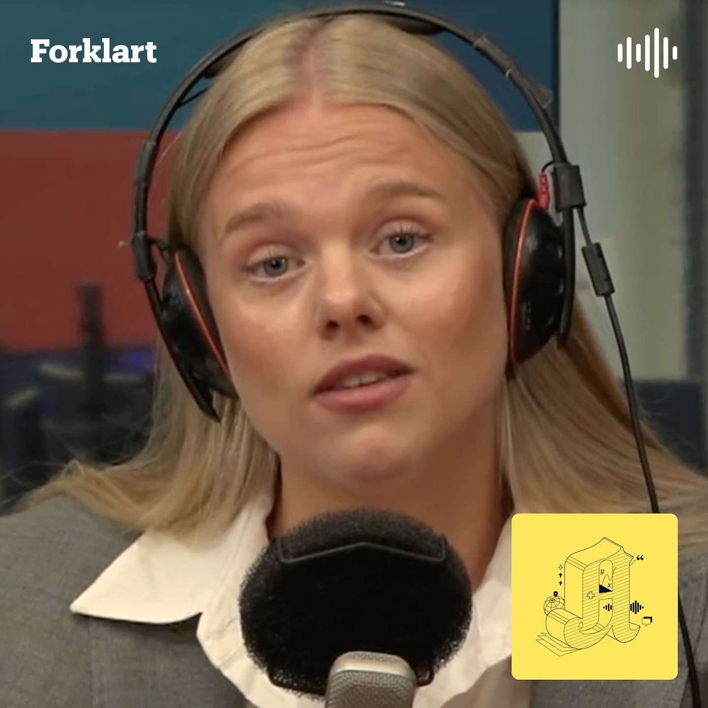 Kastet ut på direkten: Kan et småparti lykkes i valget? artwork