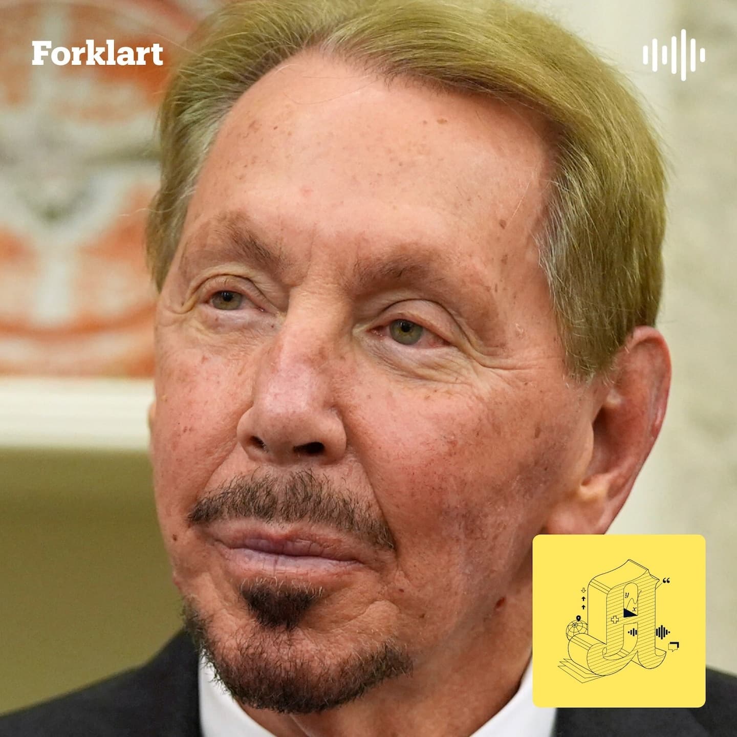 81-åringen som skal styre TikTok-algoritmen i USA artwork