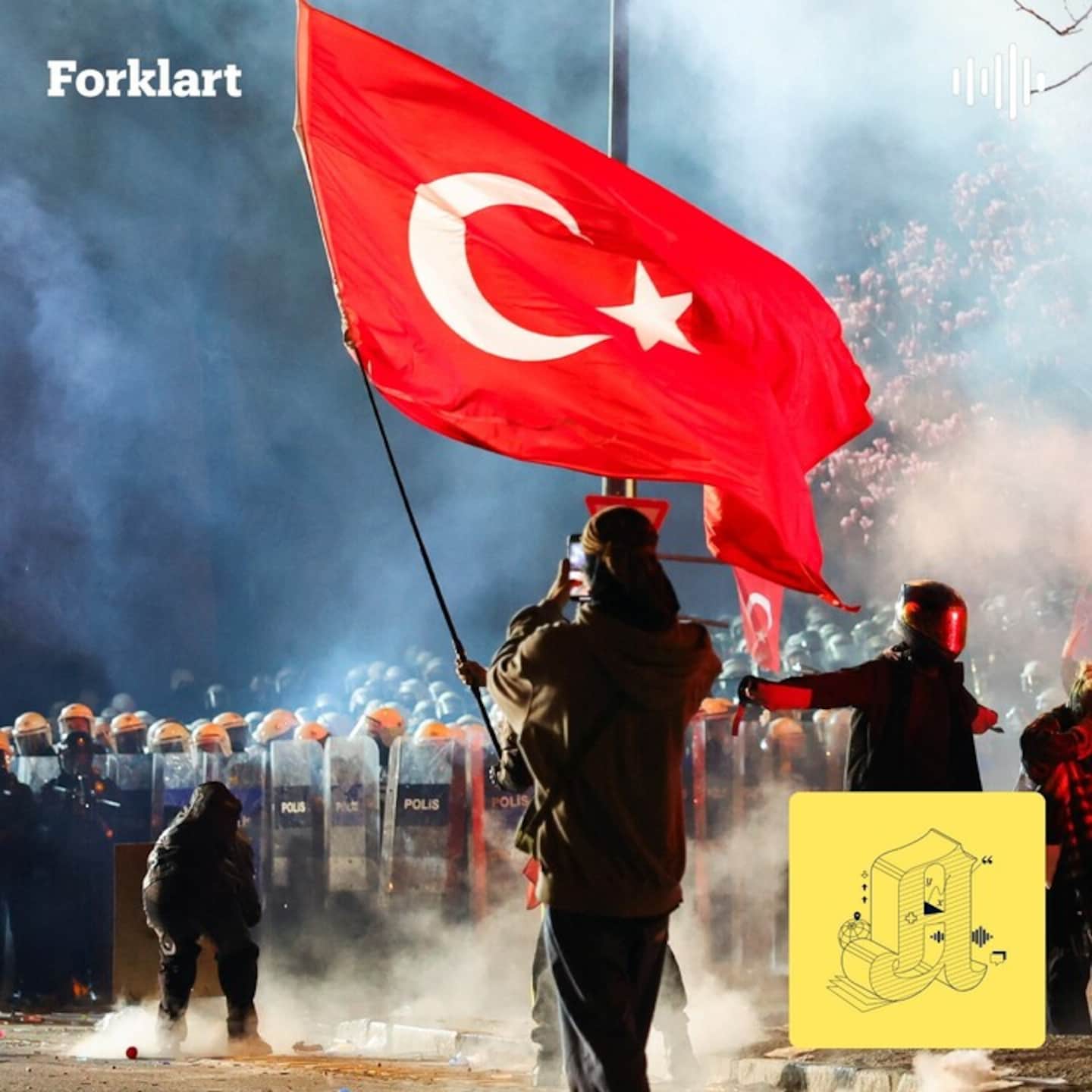 Skjebnedager i Tyrkia: Erdogan strammer grepet artwork