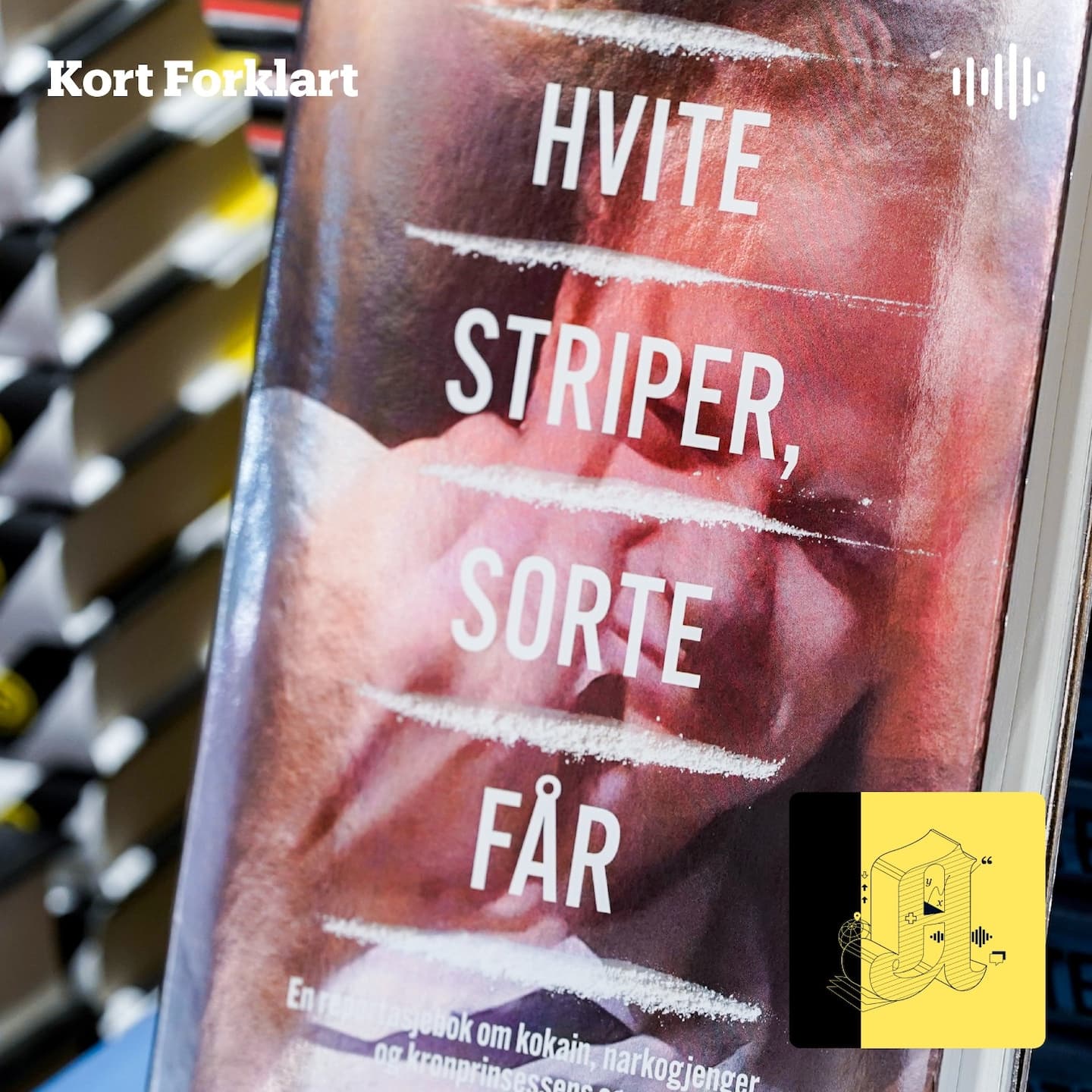 Kort Forklart: Høiby-boken og lydopptaket alle snakker om artwork