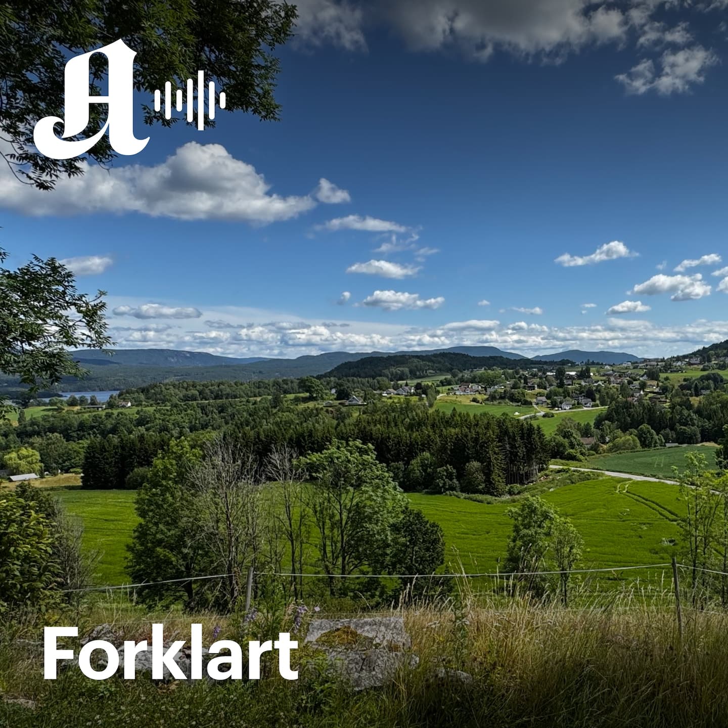 Please ikke si noe til Trump, men Norge har det Grønland har. artwork