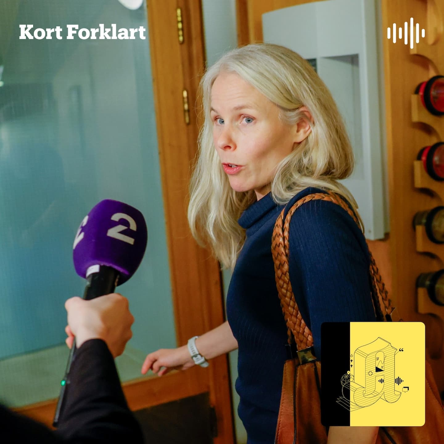 Kort Forklart: Bråk i SV og skudd på kjøpesenter i Oslo artwork