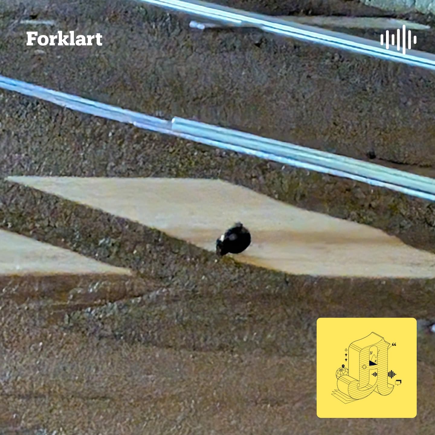 Svenske gjenger, norske barn. Hvem sto bak granatene i Oslo? artwork