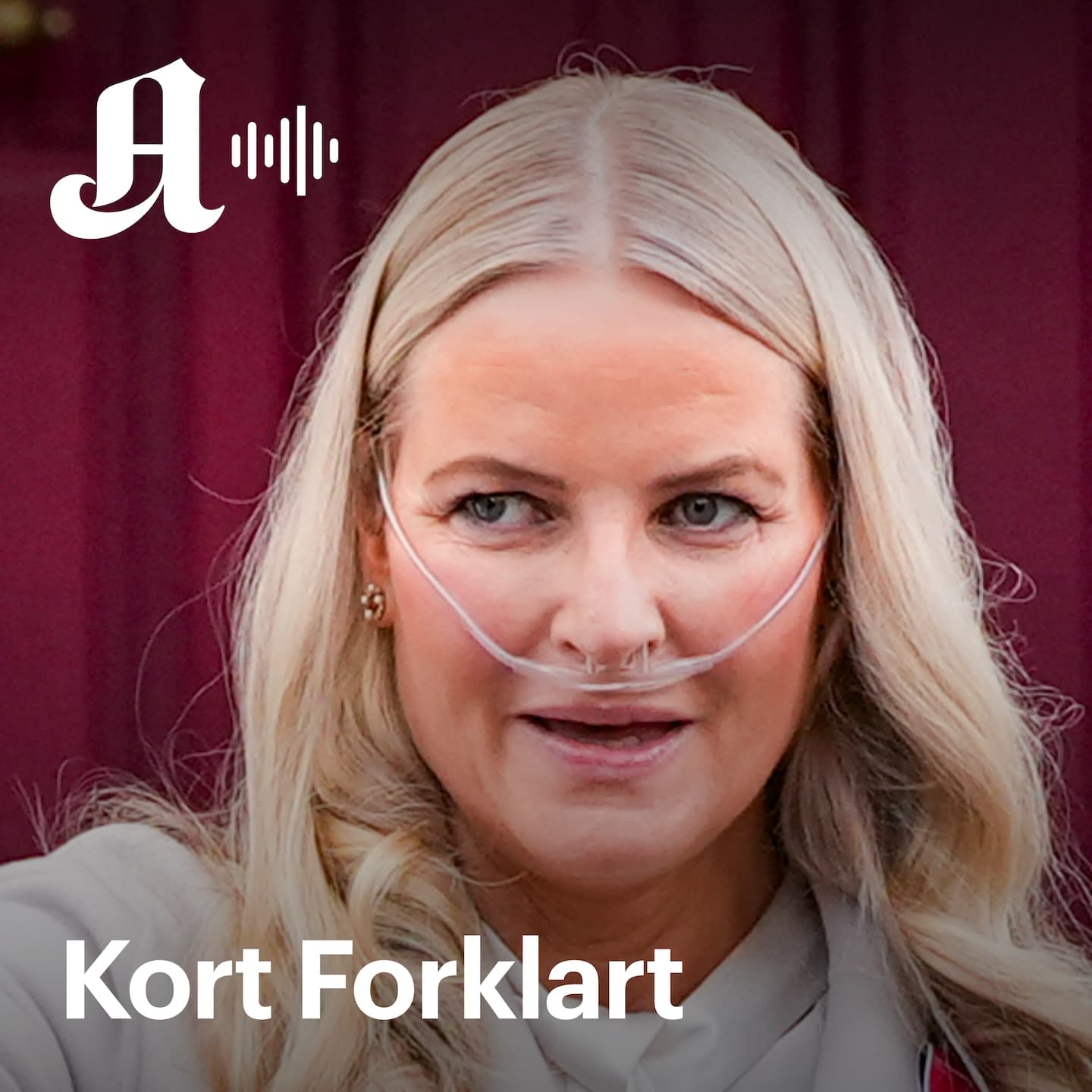 Kort Forklart: Familien reiser hjem til syk kronprinsesse, og Trump skjelte ut Netanyahu artwork