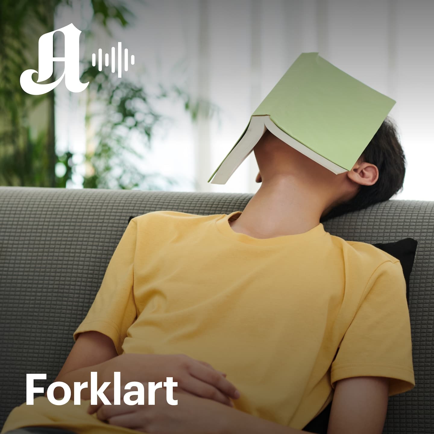 Økningen i IQ har snudd. Blir vi dummere og dummere? artwork