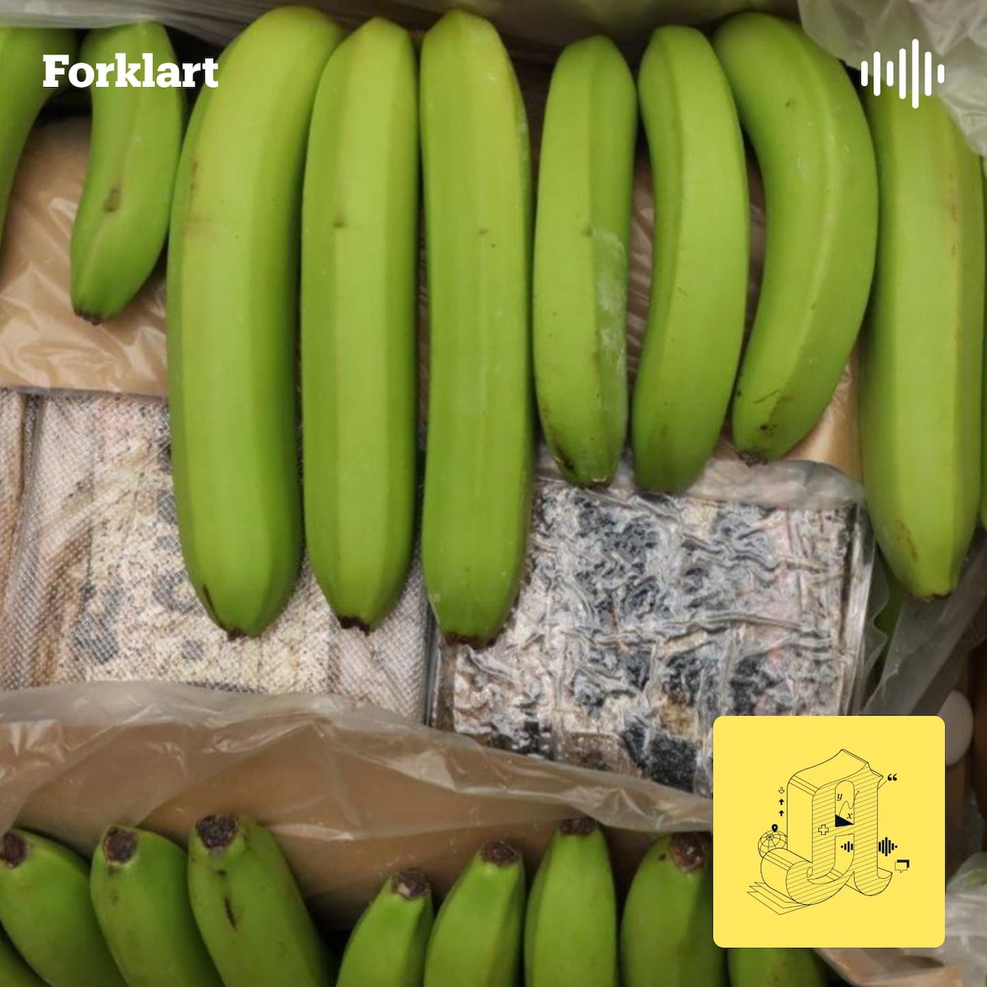 Bananer og Airtags: Slik smugles kokainen til Norge artwork