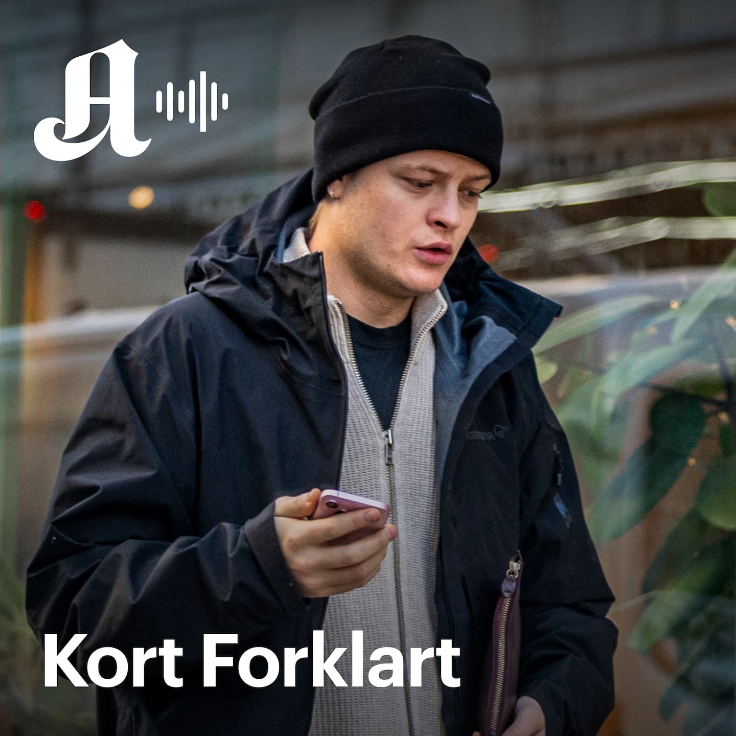 Kort Forklart: Dette fikk retten til å si ja til Høiby artwork