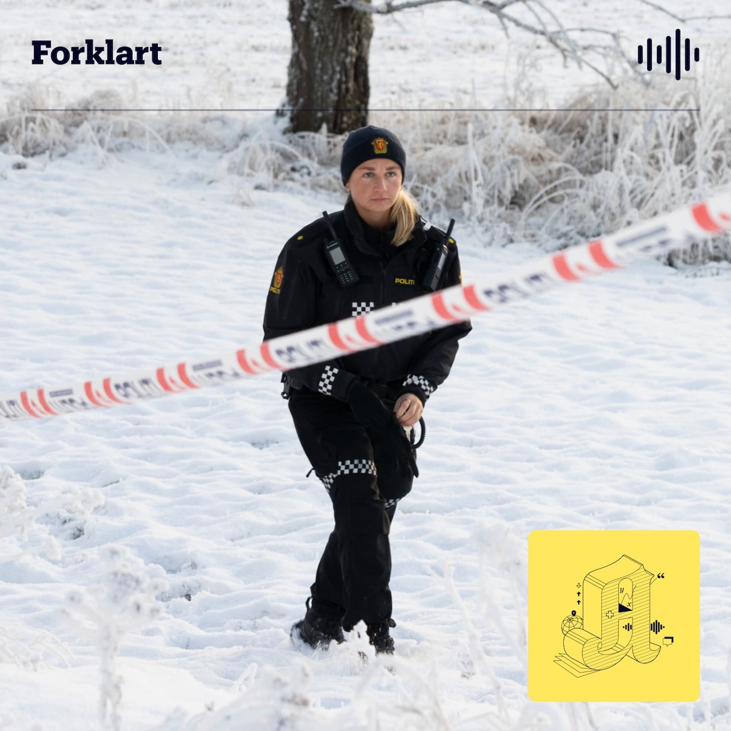 Drapene i 2024: Hvorfor dreper noen sine nærmeste? artwork