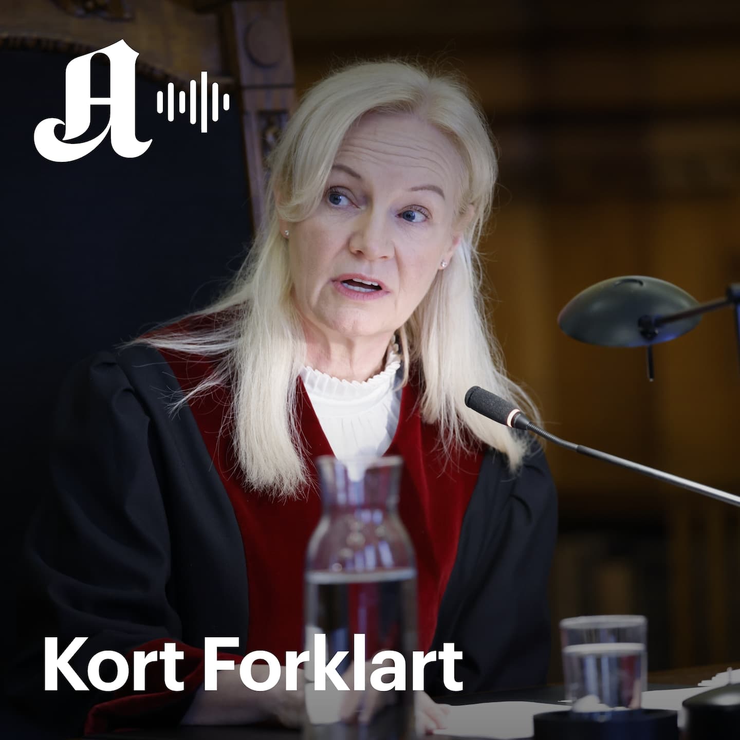 Kort Forklart: Sovevoldtekt straffes mildere, og Asle Toje vraket som 17.mai-taler artwork