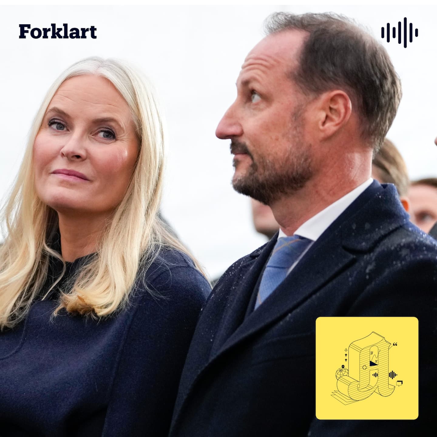 Mette-Marits sykdom: Hva gjør kongehuset? artwork