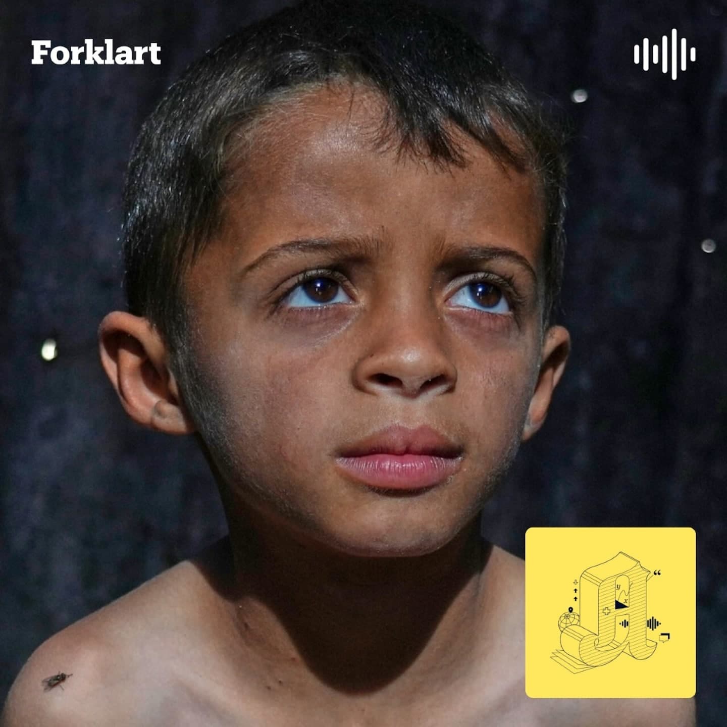 Folkemord: Er de umulig å forhindre? (2:2) artwork