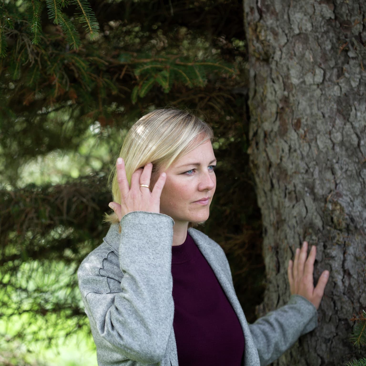 Er økonomien ved at fælde planerne om 250.000 hektar skov? artwork