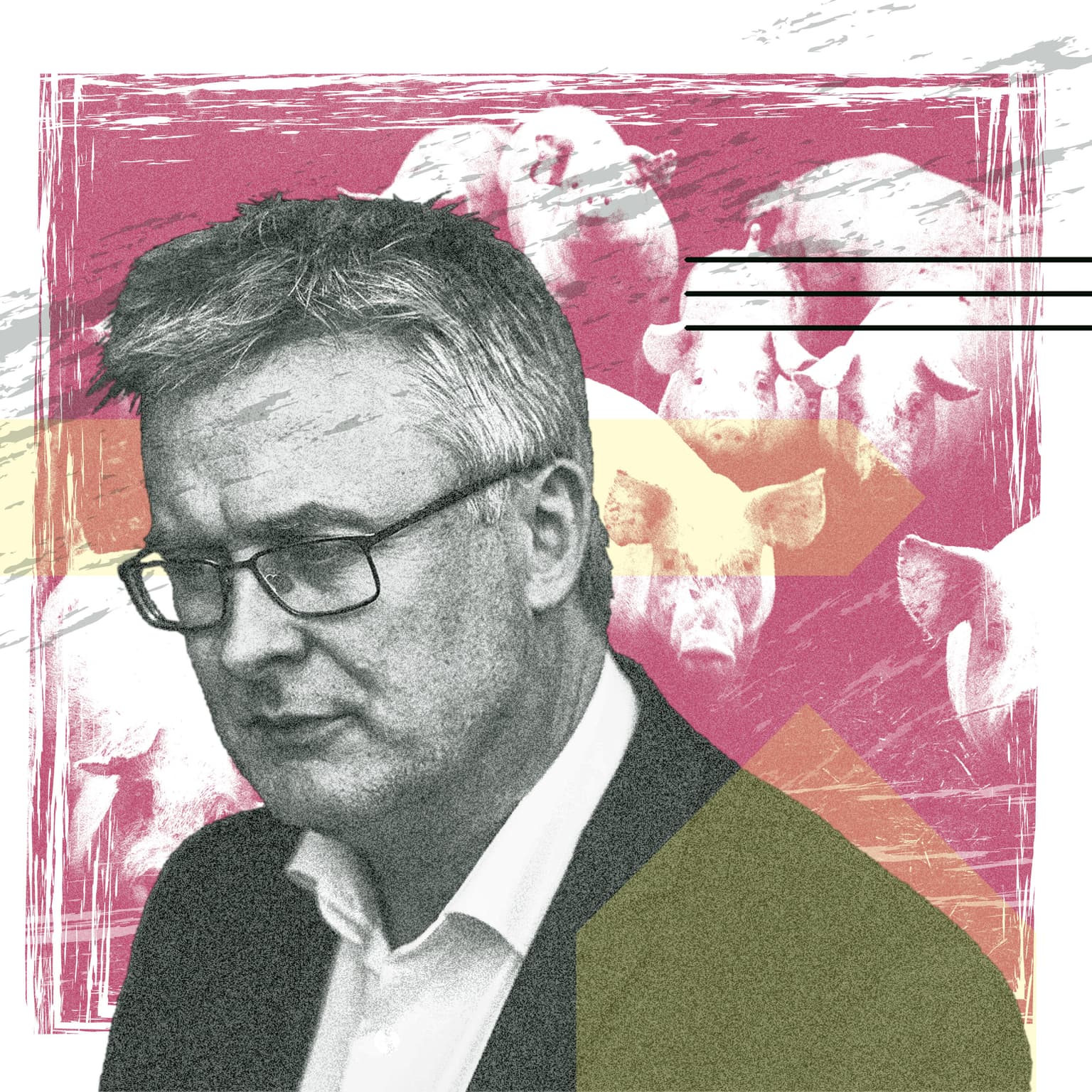Er du grisenes eller landbrugets mand, hr. minister? artwork