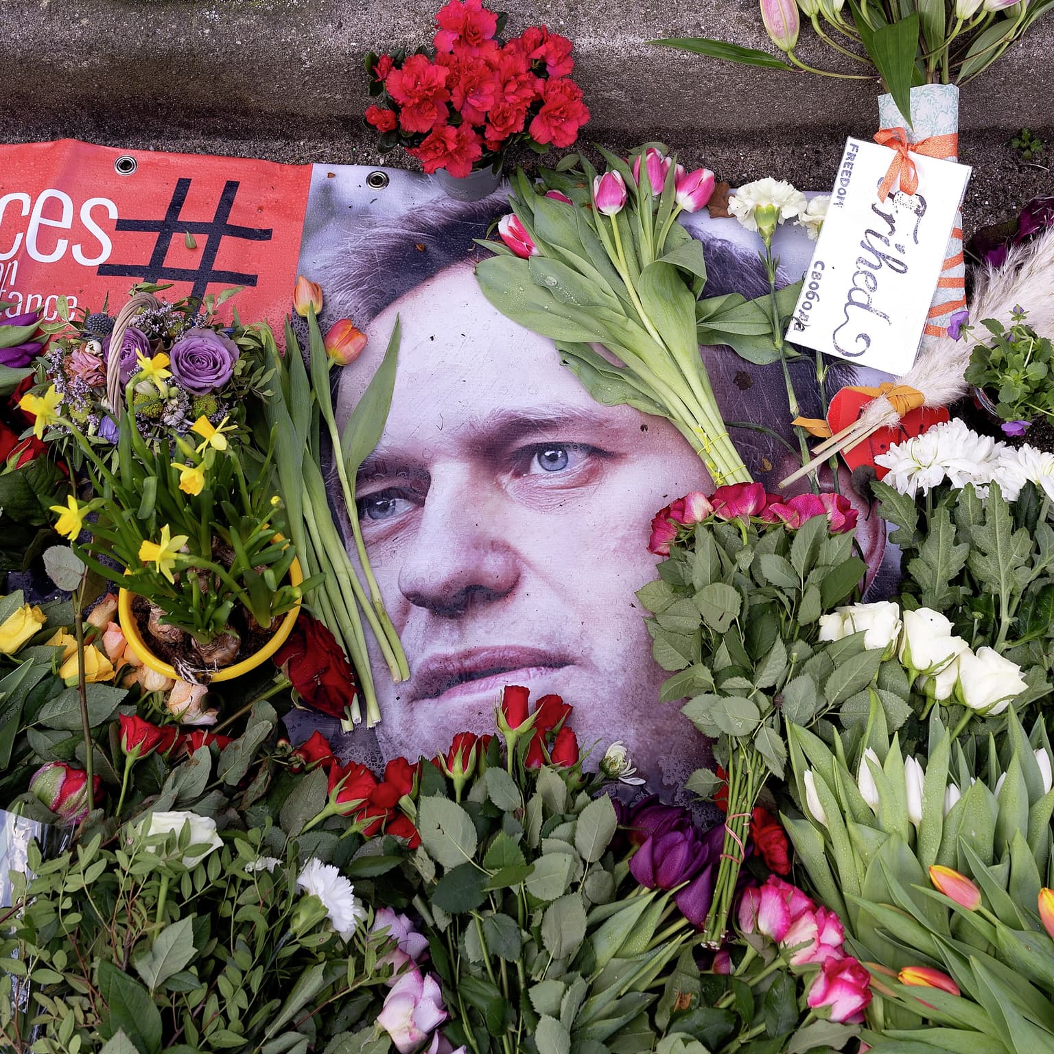 Aleksej Navalnyj: »Det gjorde egentlig ikke ondt at dø« artwork
