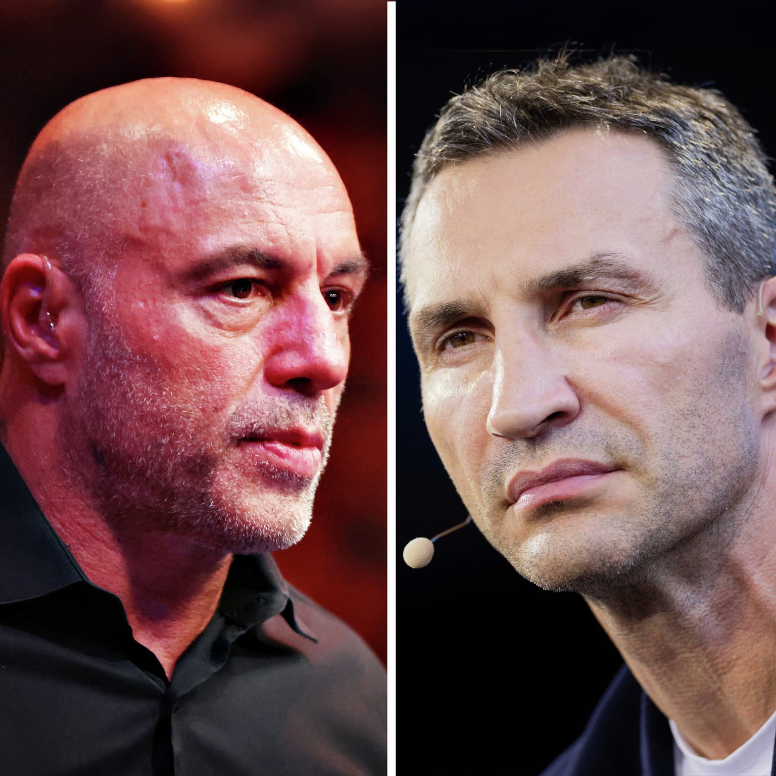 Rogan vs. Klitsjko artwork