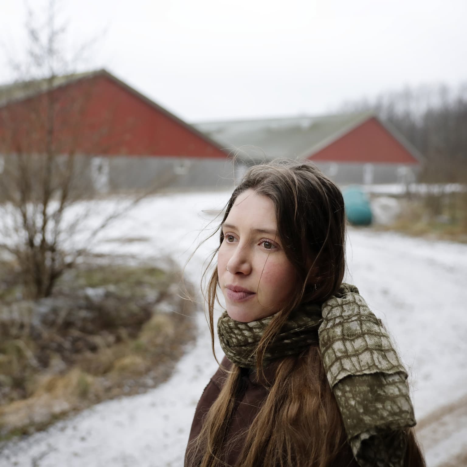 Ida advarer: Svinene får folk til at flytte fra landet artwork