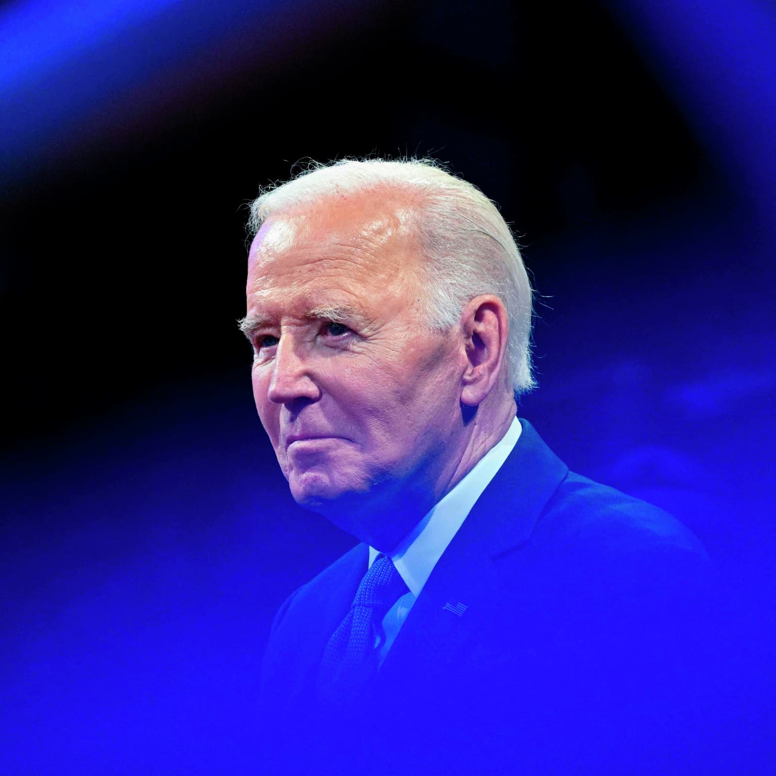 Bidens eftermæle: Arvesynd eller syndebuk? artwork