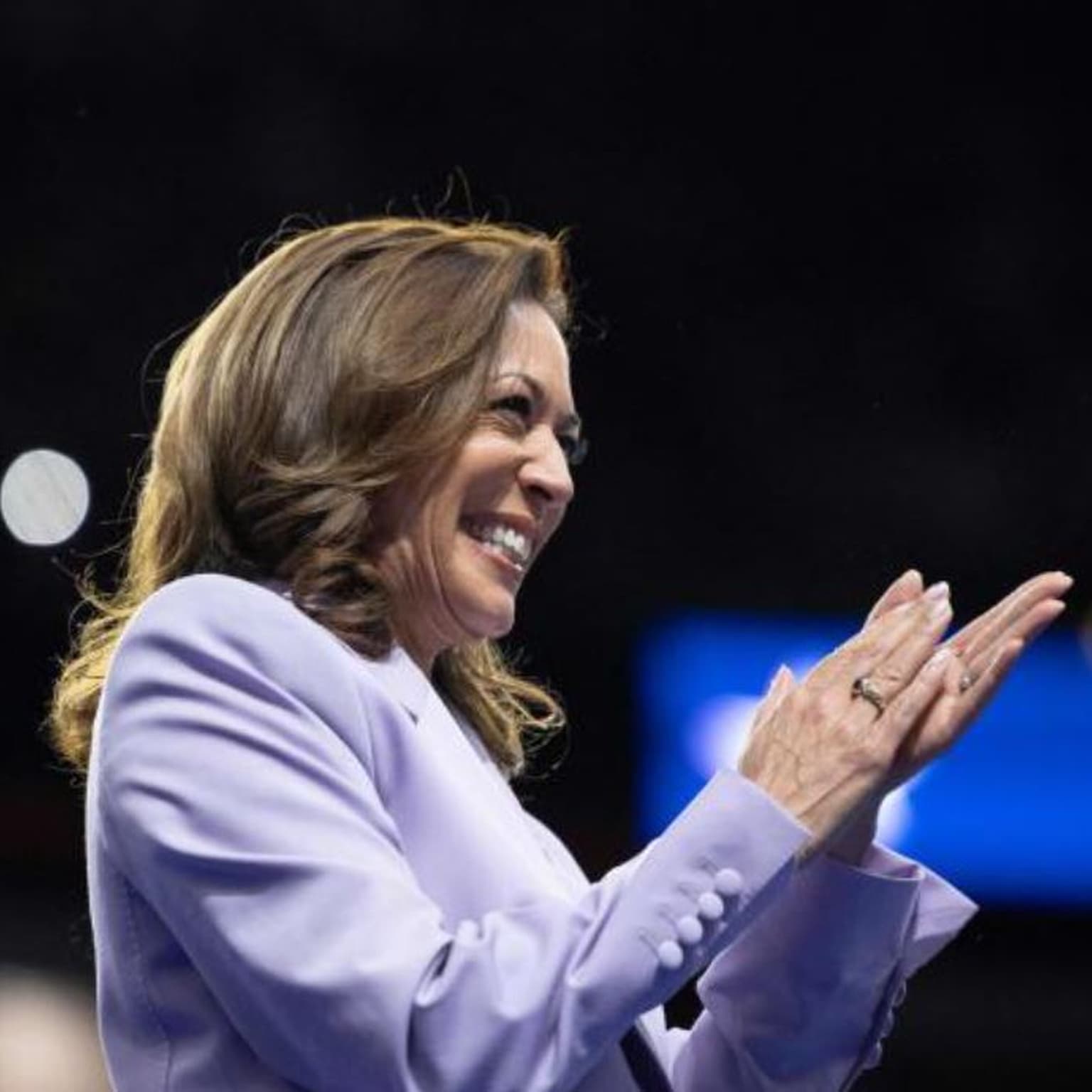 Hvad vil Kamala Harris? artwork