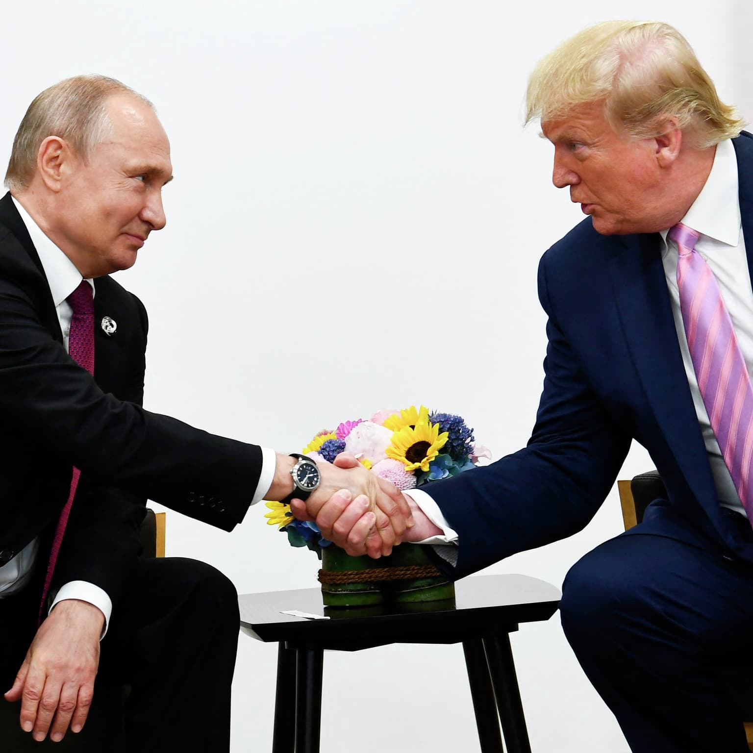 Fredsduen Trump? artwork