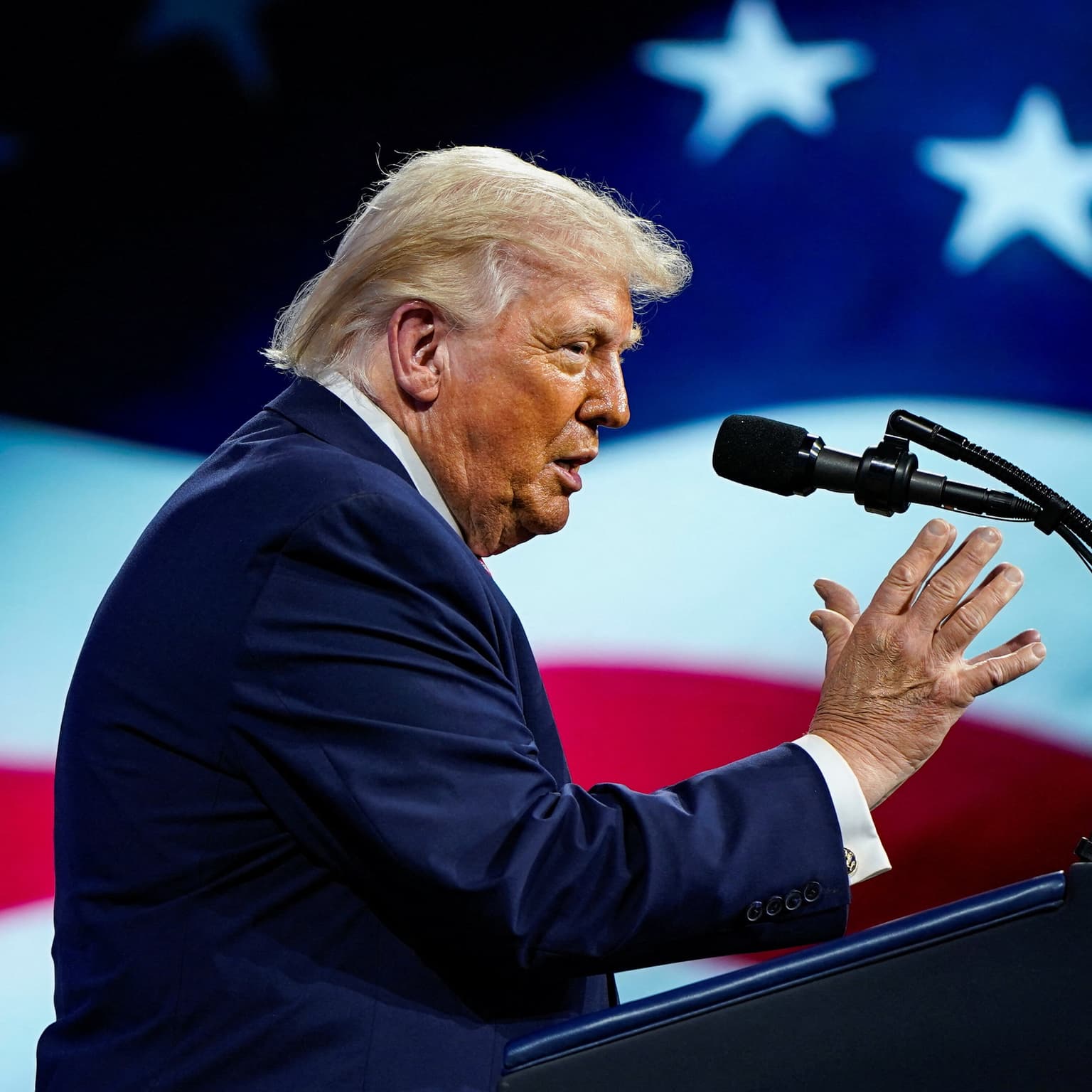 Planlægger Trump at kuppe midtvejsvalget? artwork