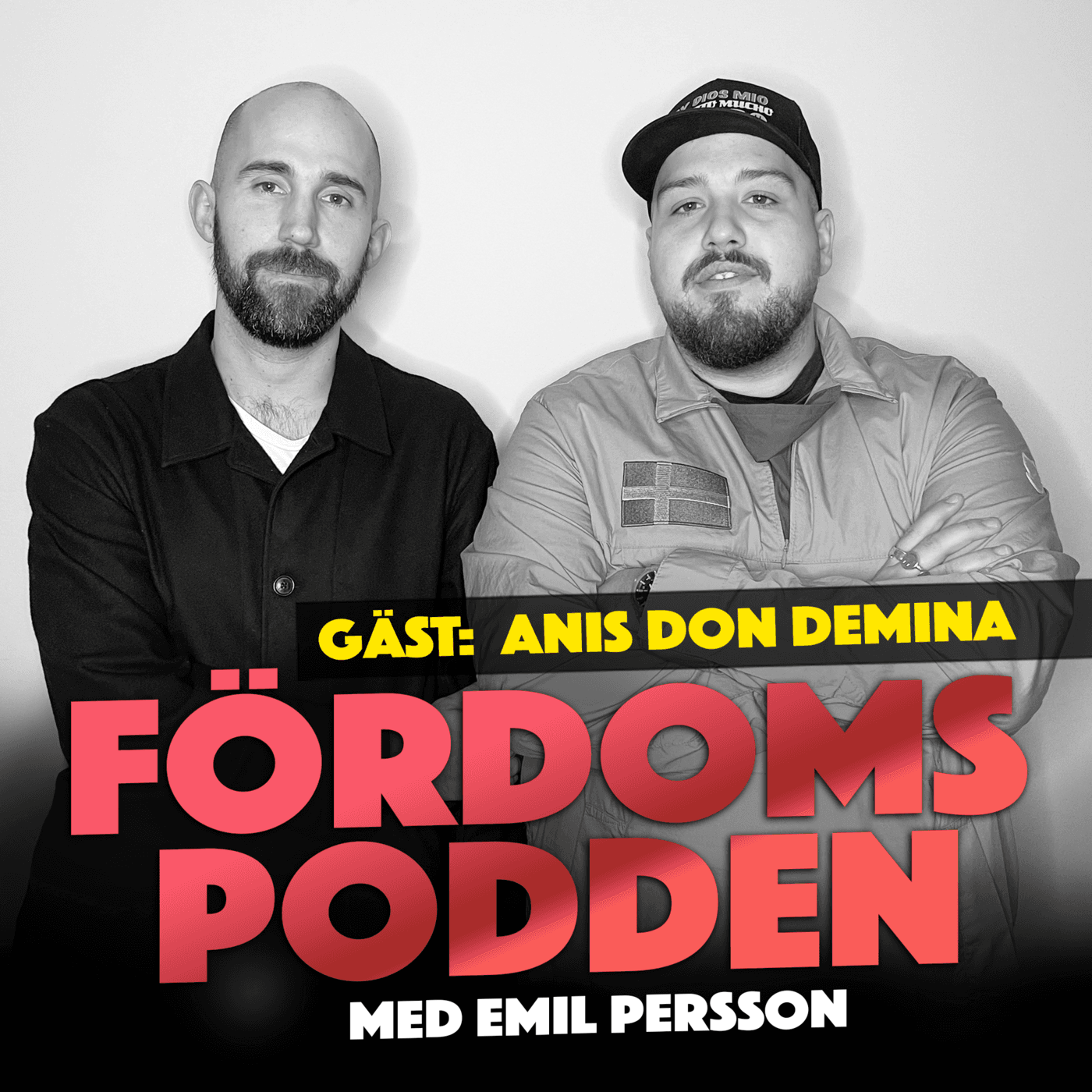 #158 Färdas Anis Don Demina ofta i bilar där basen hörs över hela kvarteret? artwork