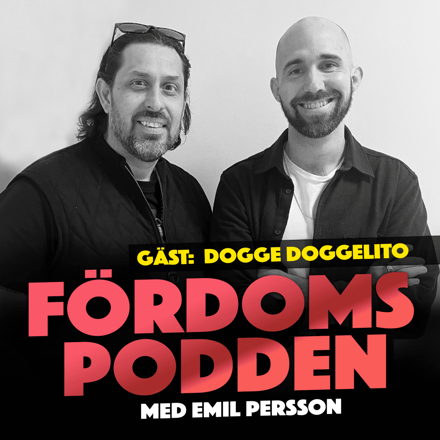#169 Har Dogge Doggelito nyligen bett att få skriva ut något på en kompis skrivare? artwork