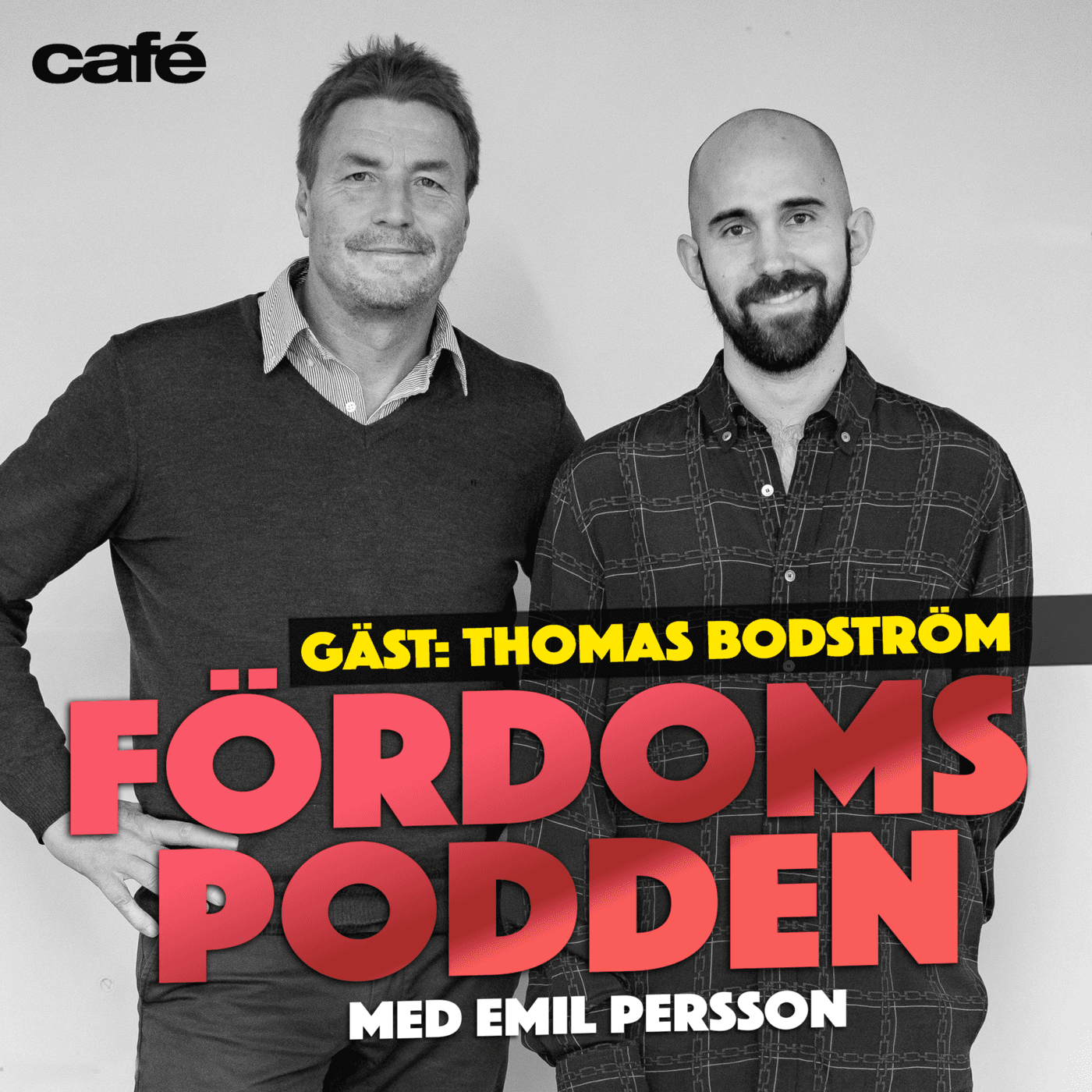 #104 Har Thomas Bodström slagit sig ned i skoputstronen på en flygplats? artwork