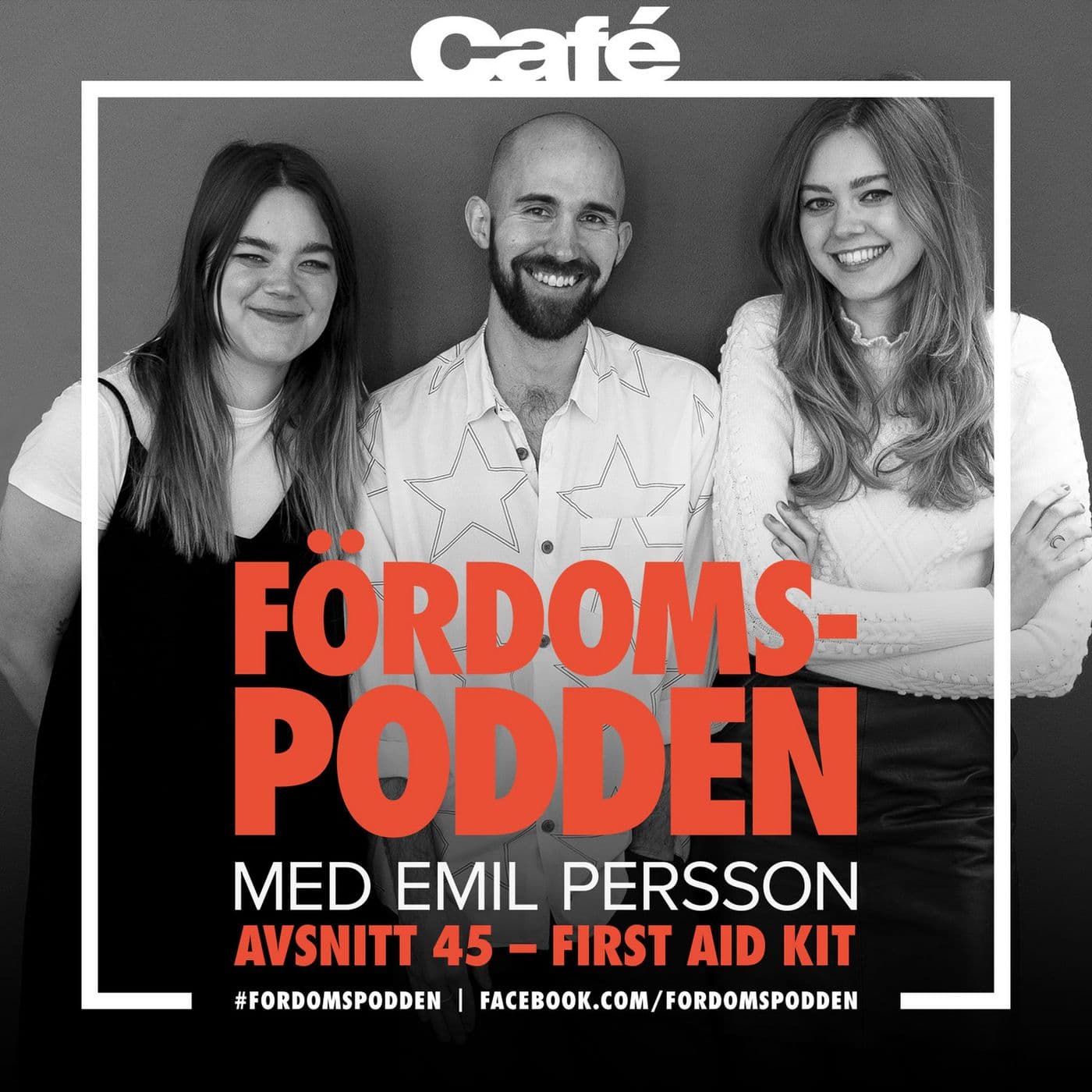 #45 Samlar First Aid Kit bär och pinnar inför vintern? artwork