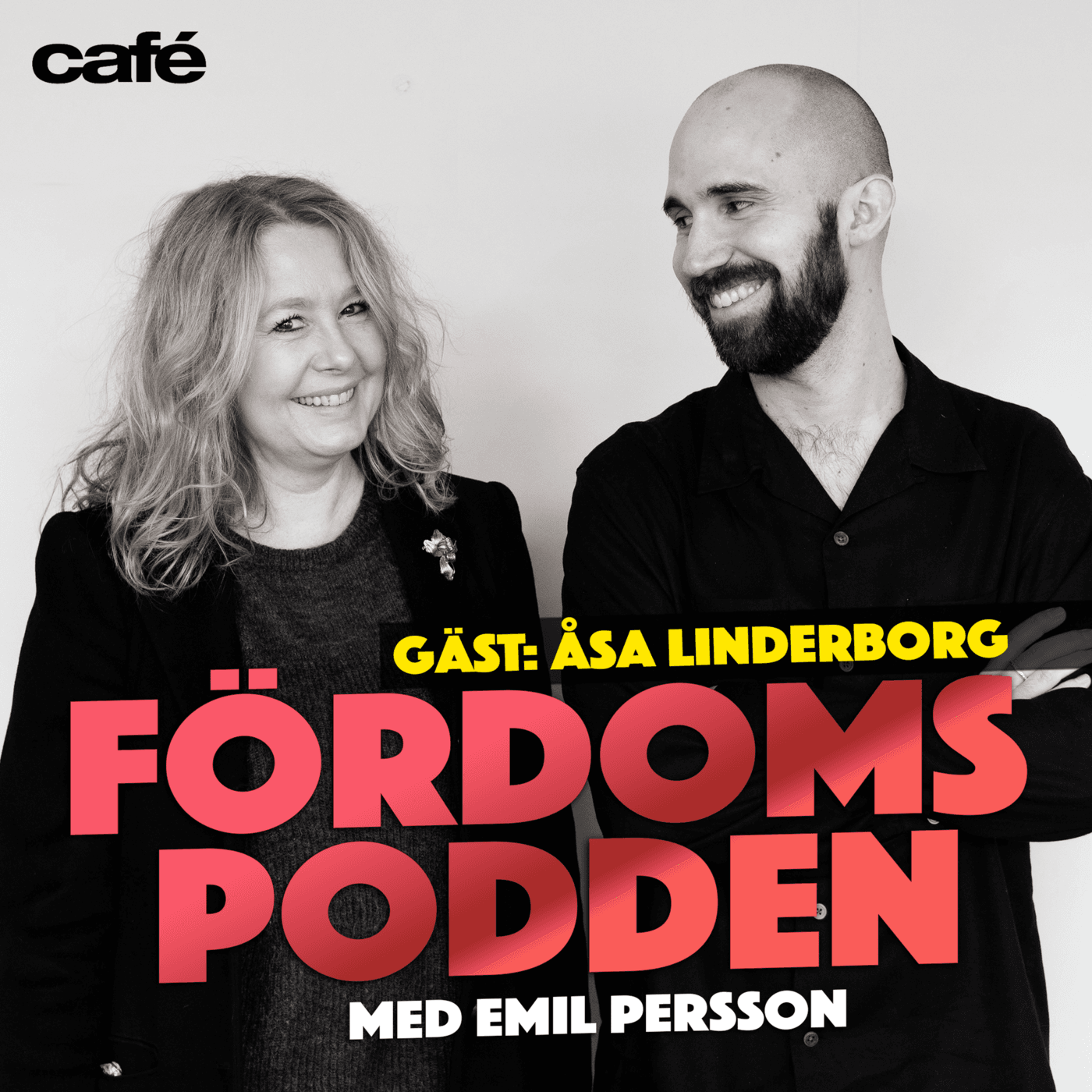 #87 Har Åsa Linderborg aldrig joggat? artwork