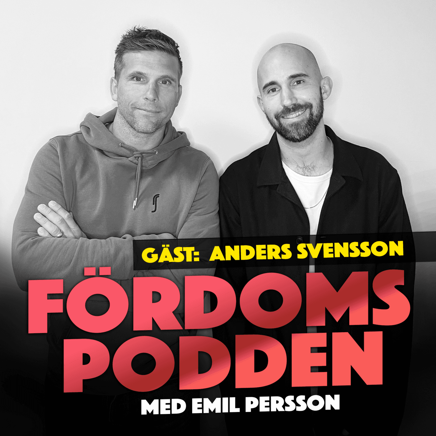 #183 Tror Anders Svensson att Basshunter sjunger om en båt? artwork