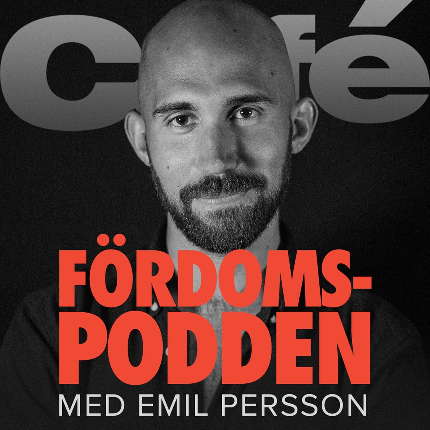 PREMIÄR 14 SEPTEMBER: Fördomspodden med Emil Persson artwork