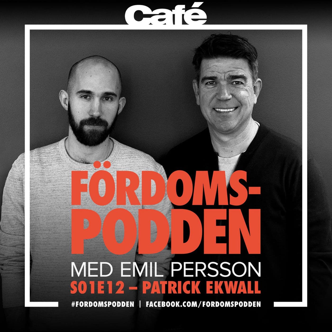 #12 Fick Patrick Ekwall för lite uppmärksamhet som barn? artwork